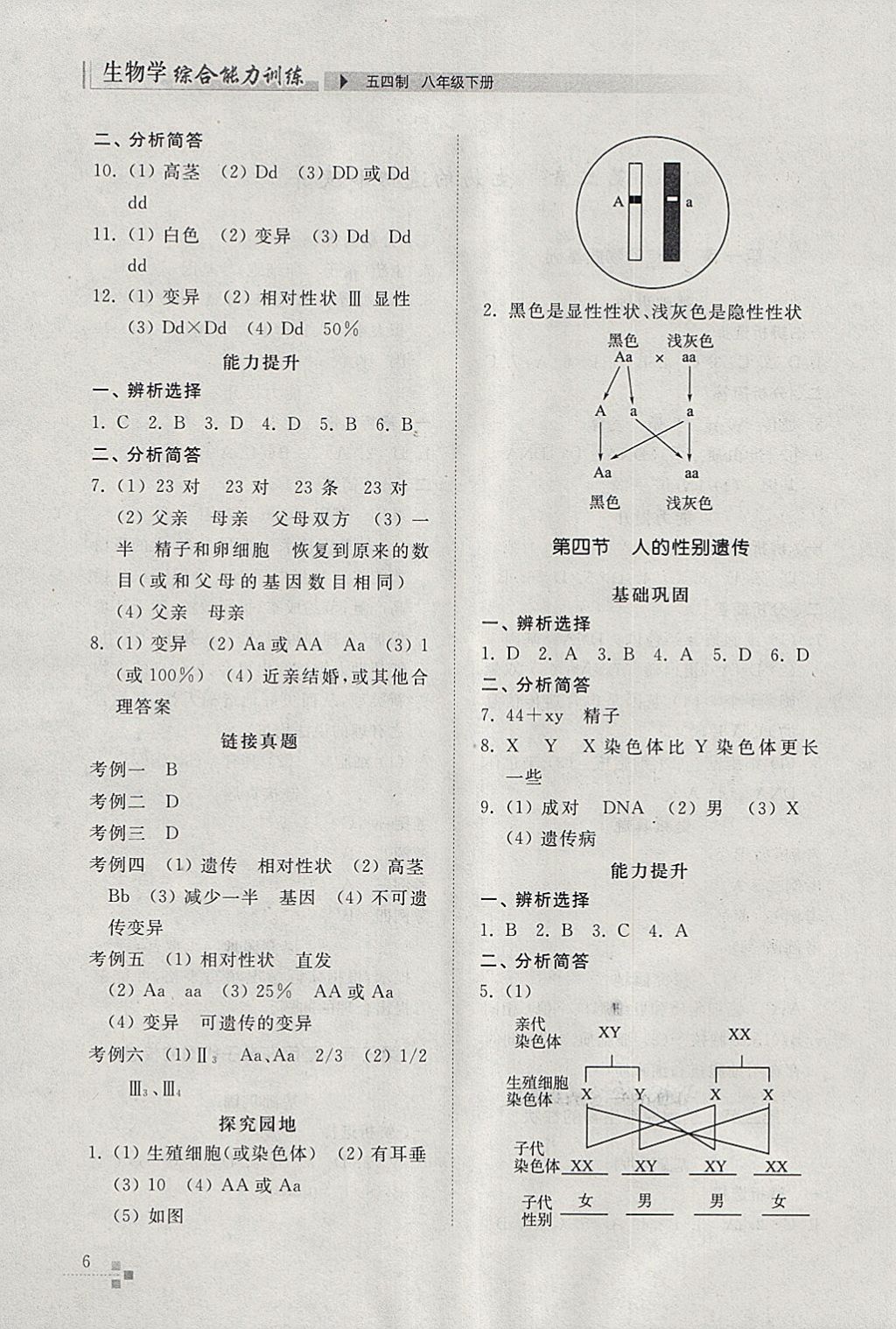 2018年綜合能力訓(xùn)練八年級(jí)生物學(xué)下冊(cè)魯科版五四制 第5頁(yè)