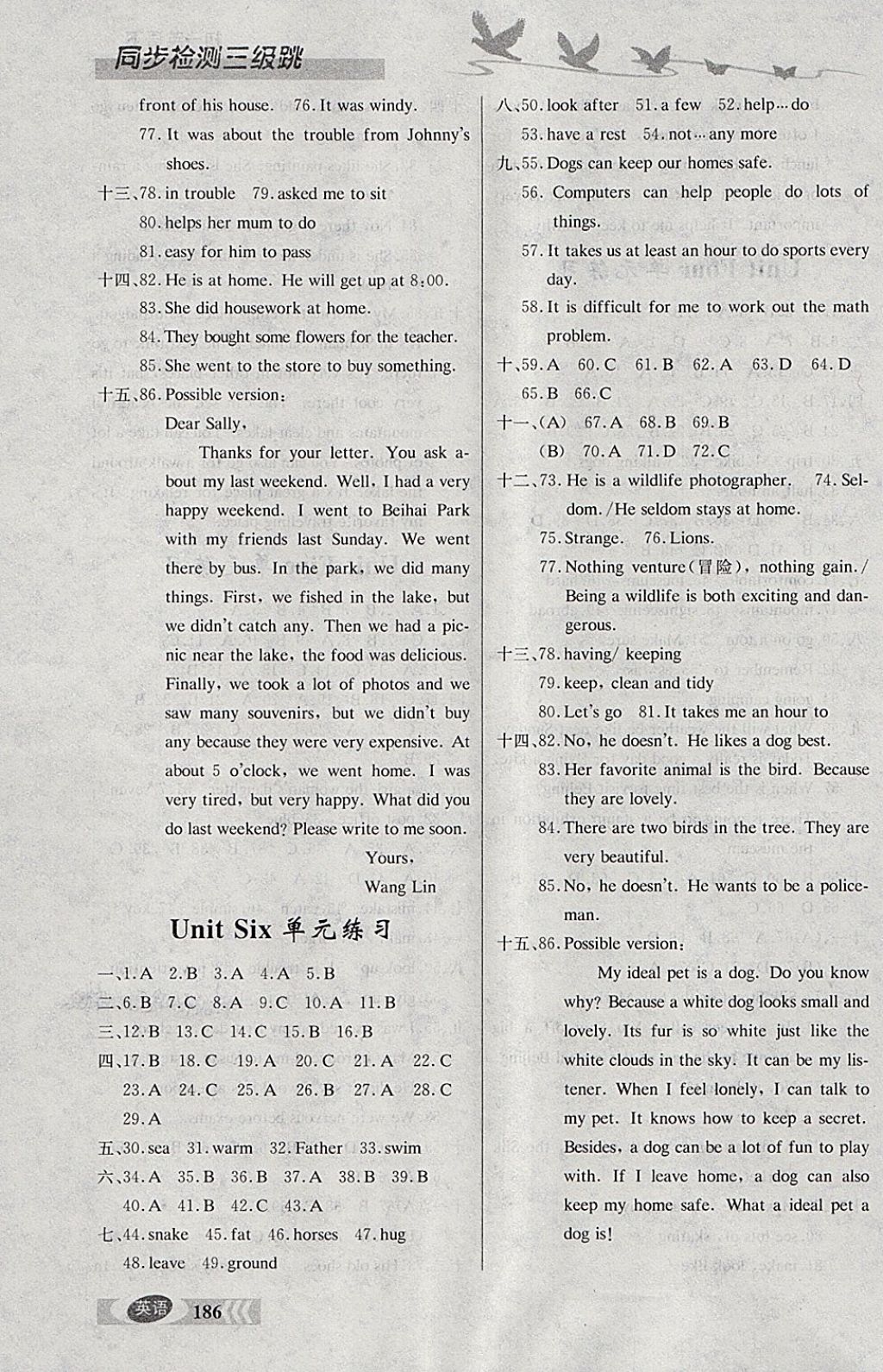 2018年同步檢測三級跳初一英語下冊 參考答案第19頁