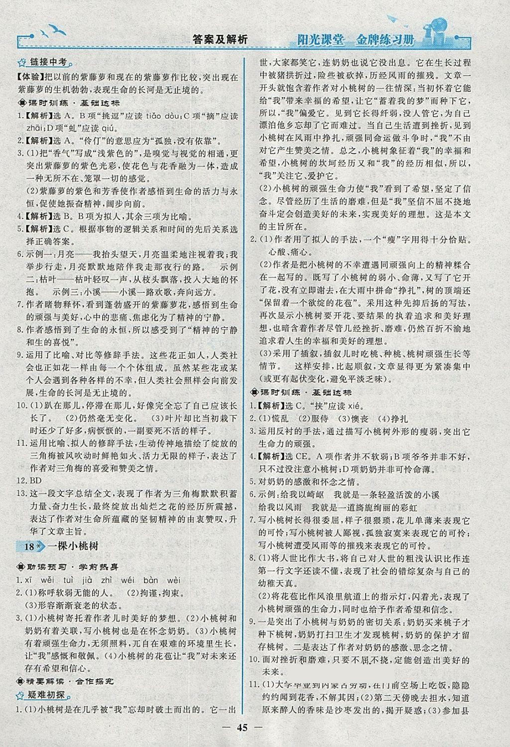 2018年陽光課堂金牌練習冊七年級語文下冊人教版 參考答案第13頁