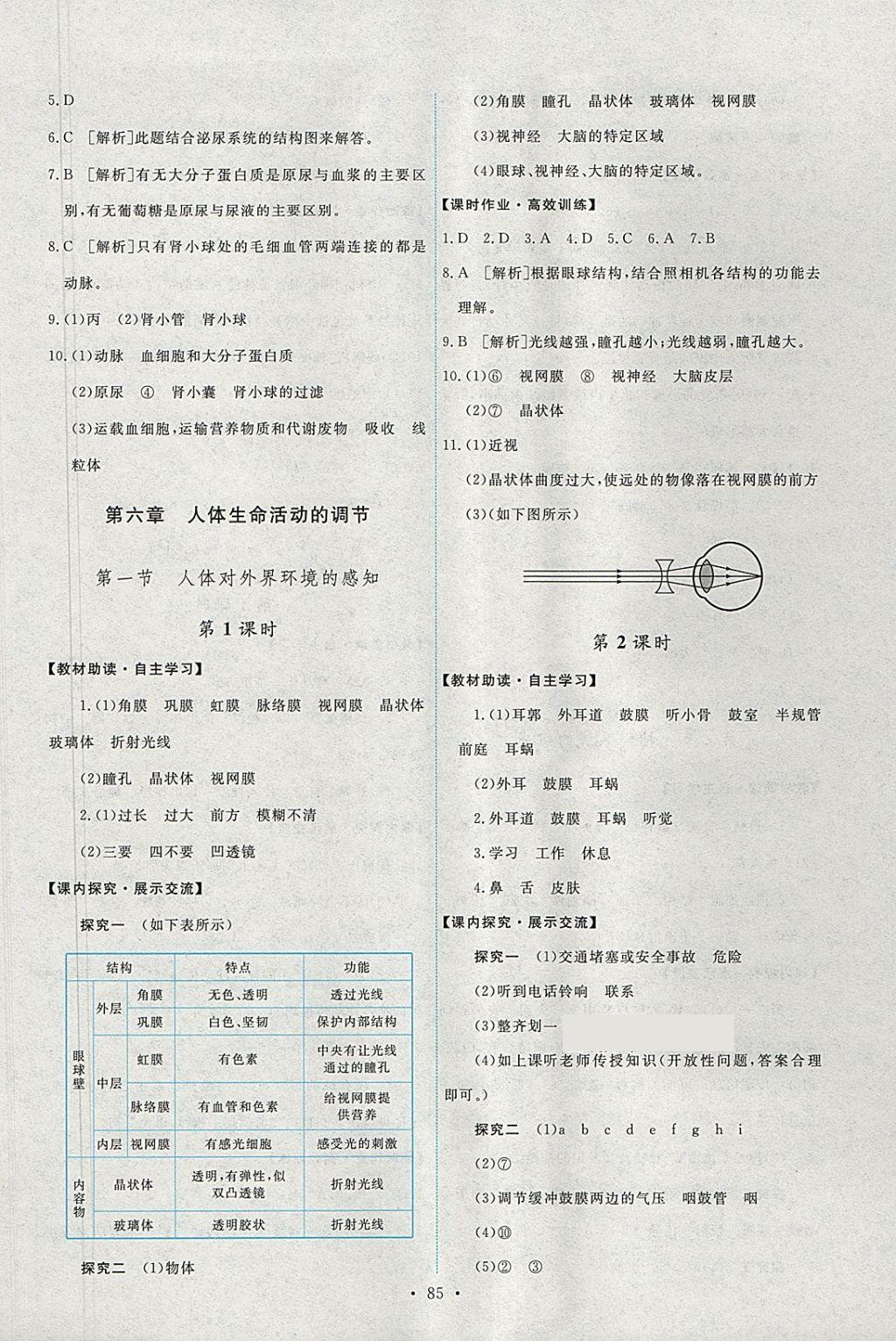 2018年能力培養(yǎng)與測(cè)試七年級(jí)生物學(xué)下冊(cè)人教版 參考答案第11頁(yè)