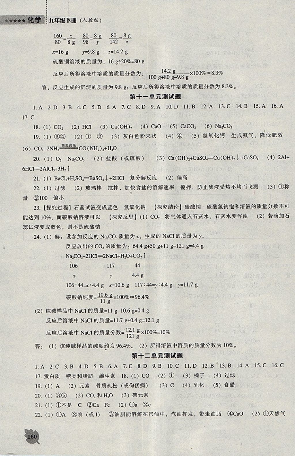 2018年新课程化学能力培养九年级下册人教版 参考答案第9页