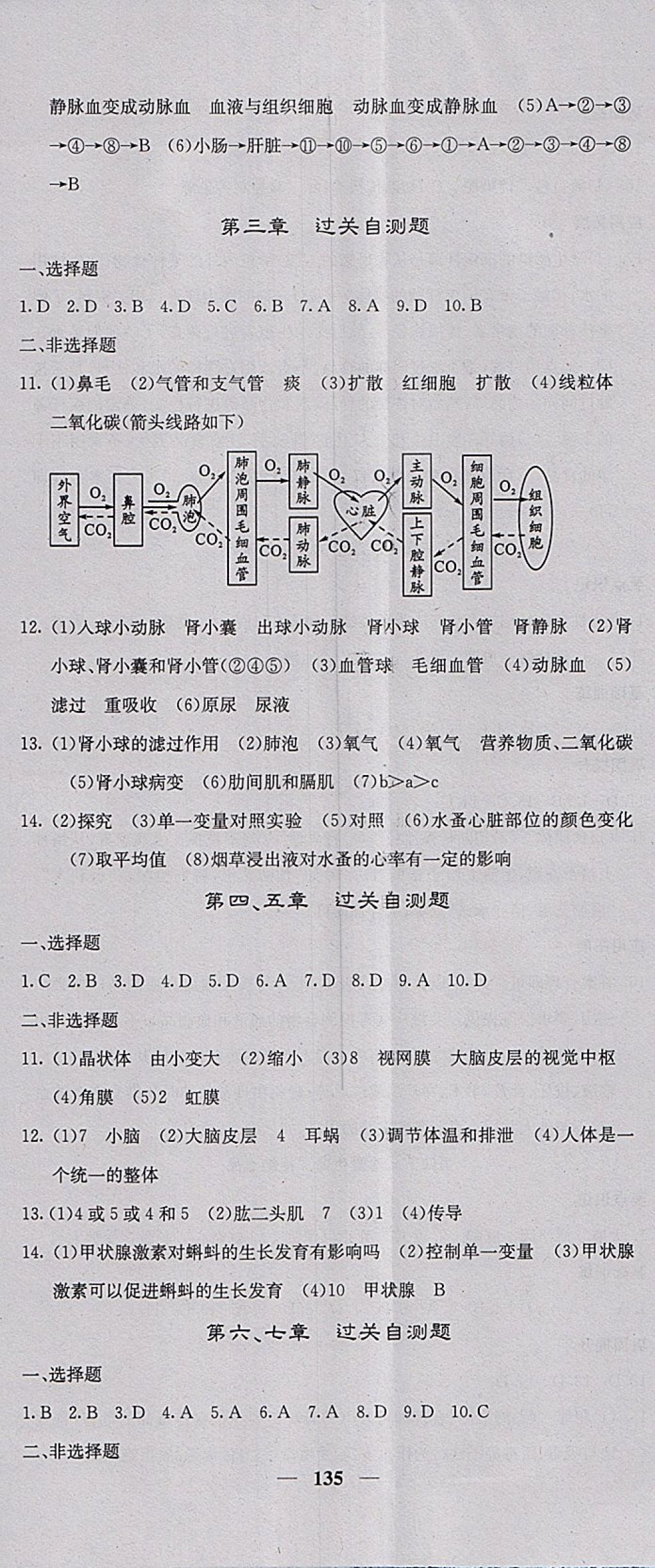 2018年課堂點睛七年級生物下冊冀少版 參考答案第17頁