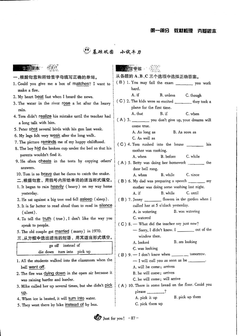 2018年蓉城优课堂给力A加九年级英语中考复习 第一部分第87页