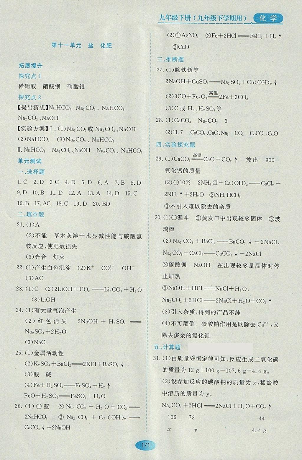 2018年資源與評價(jià)九年級化學(xué)下冊人教版 參考答案第9頁