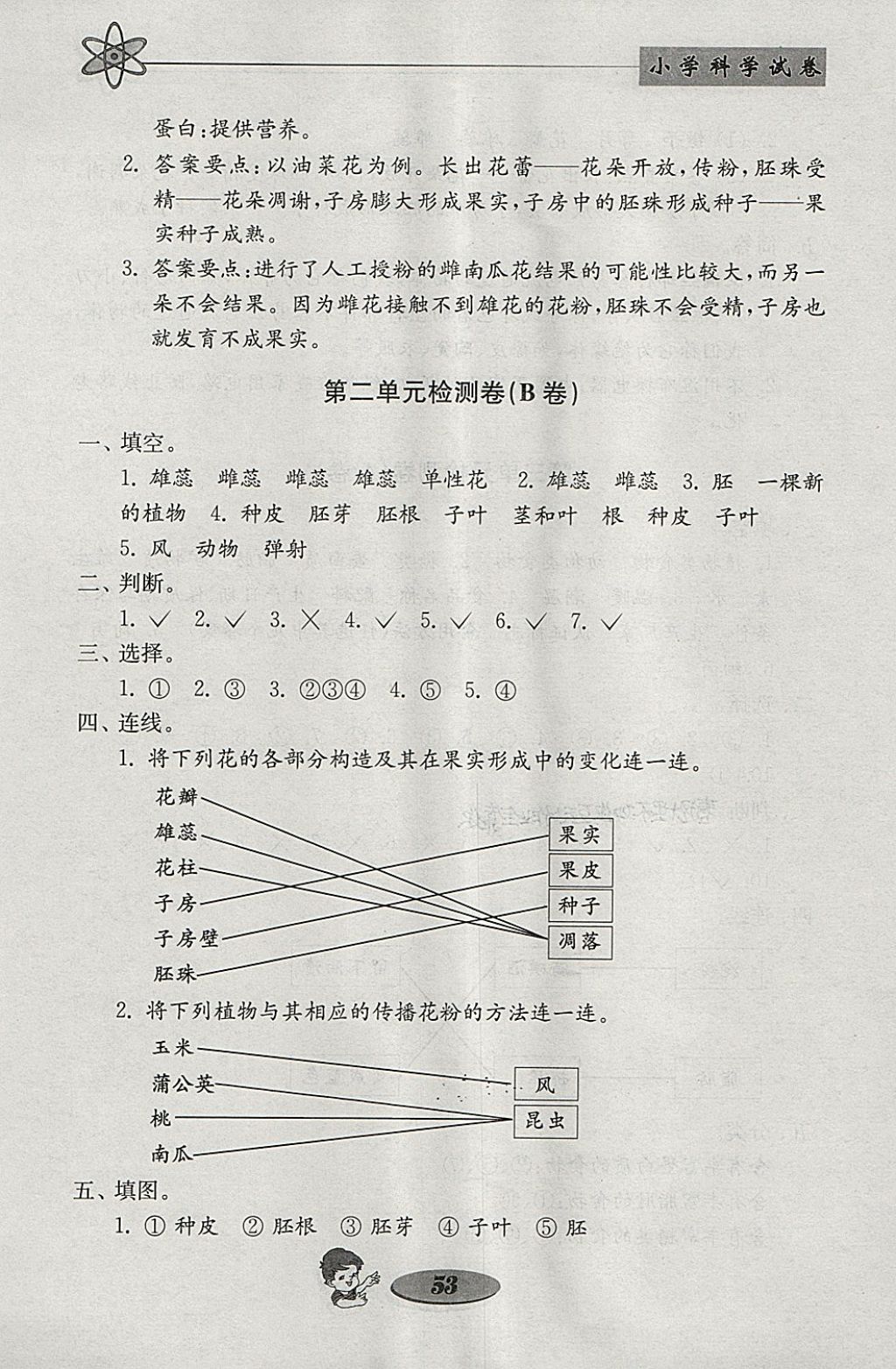 2018年金鑰匙小學(xué)科學(xué)試卷四年級(jí)下冊(cè)教科版 參考答案第5頁