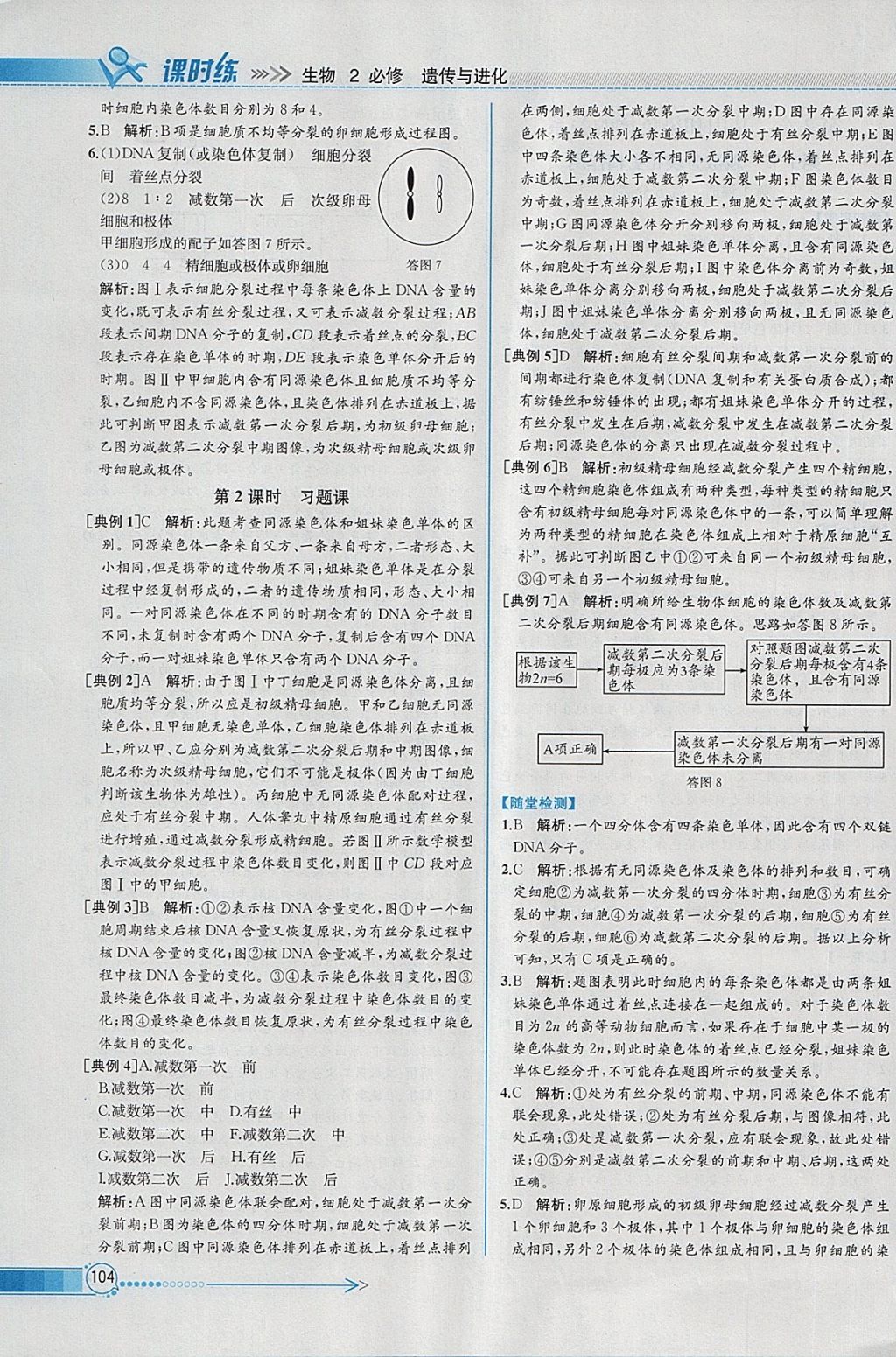 2018年同步導(dǎo)學(xué)案課時(shí)練生物必修2人教版 參考答案第7頁