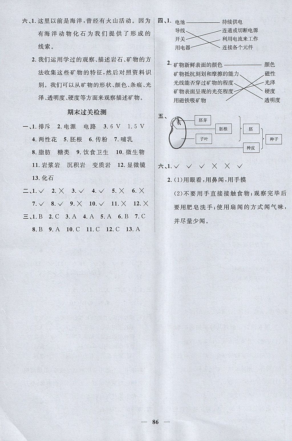 2018年阳光同学课时优化作业四年级科学下册教科版 参考答案第8页