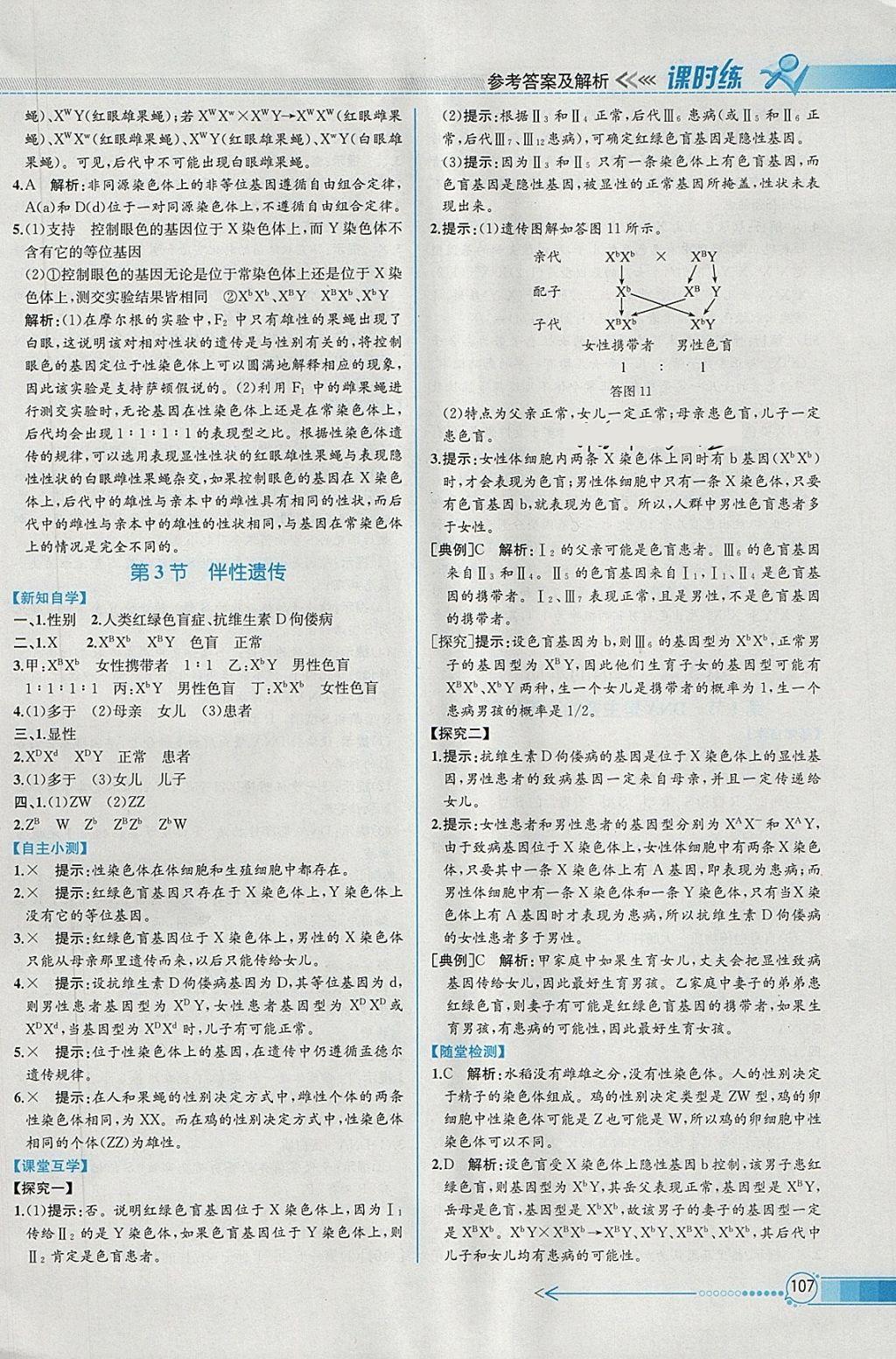 2018年同步導(dǎo)學(xué)案課時(shí)練生物必修2人教版 參考答案第10頁