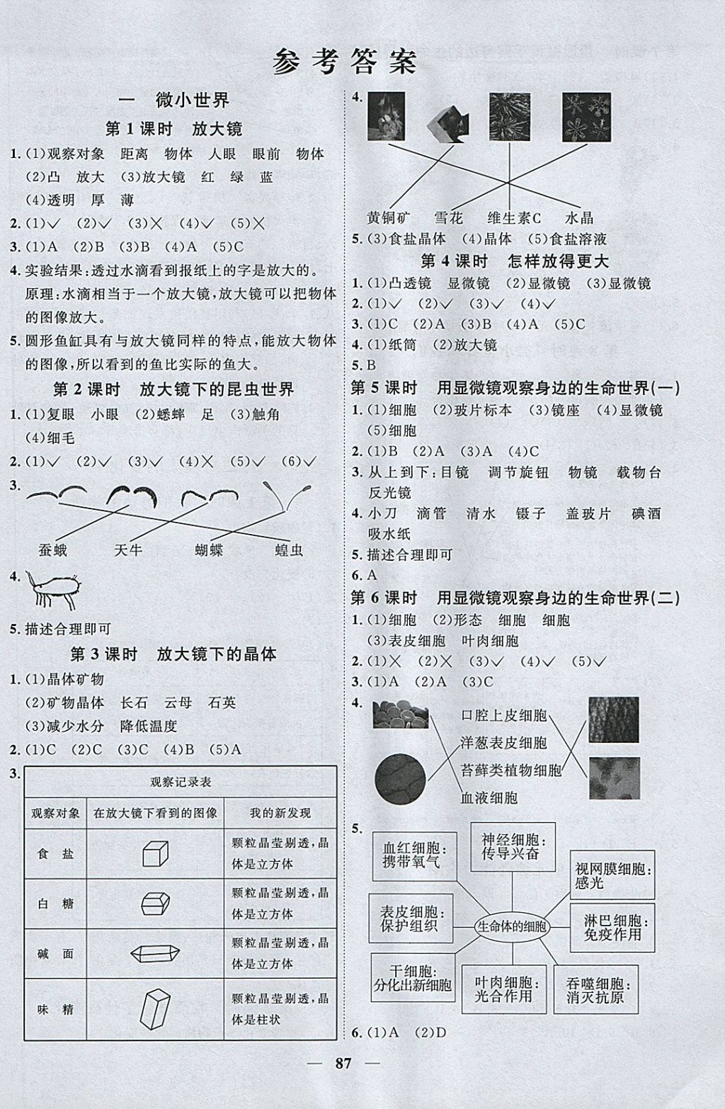 2018年陽光同學(xué)課時優(yōu)化作業(yè)六年級科學(xué)下冊教科版 參考答案第1頁