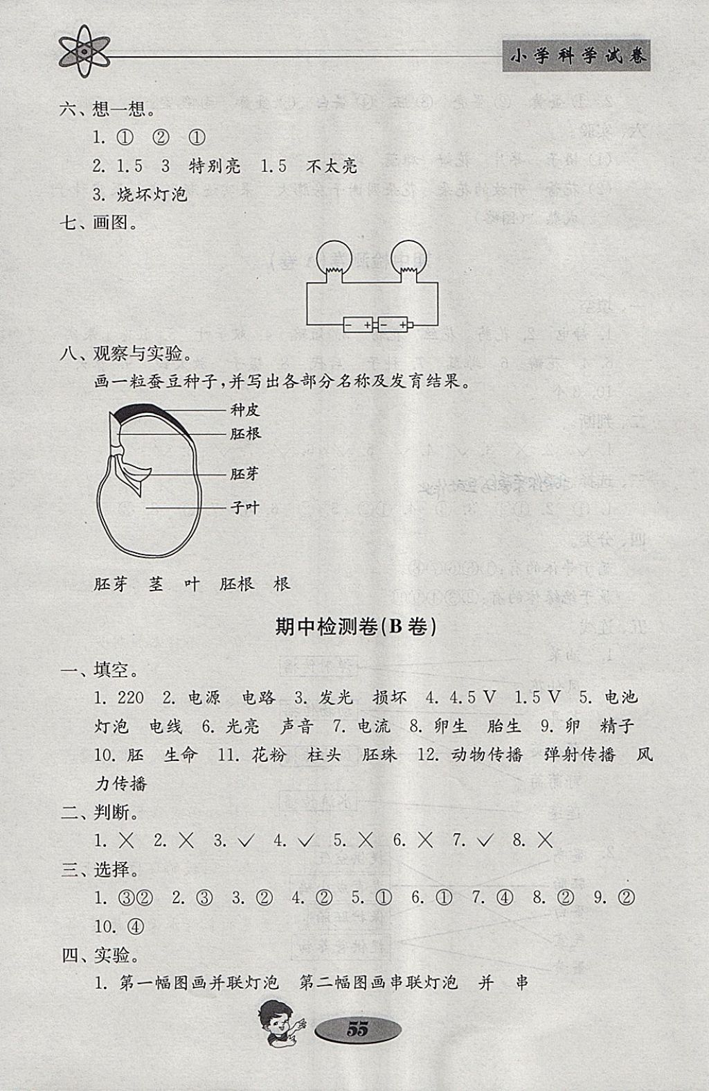 2018年金鑰匙小學(xué)科學(xué)試卷四年級(jí)下冊(cè)教科版 參考答案第7頁