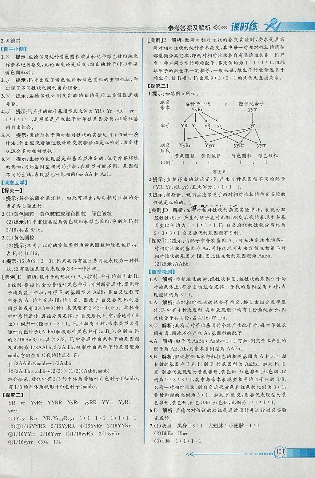 2018年同步導(dǎo)學(xué)案課時練生物必修2人教版 參考答案第4頁