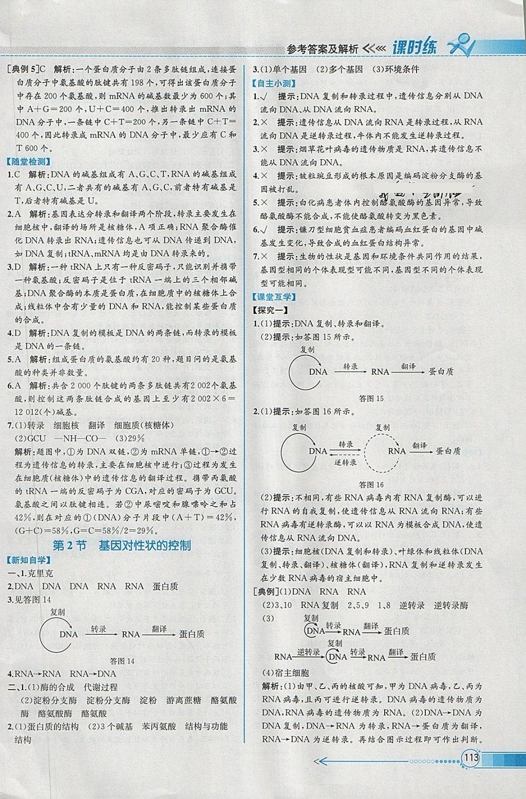 2018年同步導(dǎo)學(xué)案課時練生物必修2人教版 參考答案第16頁