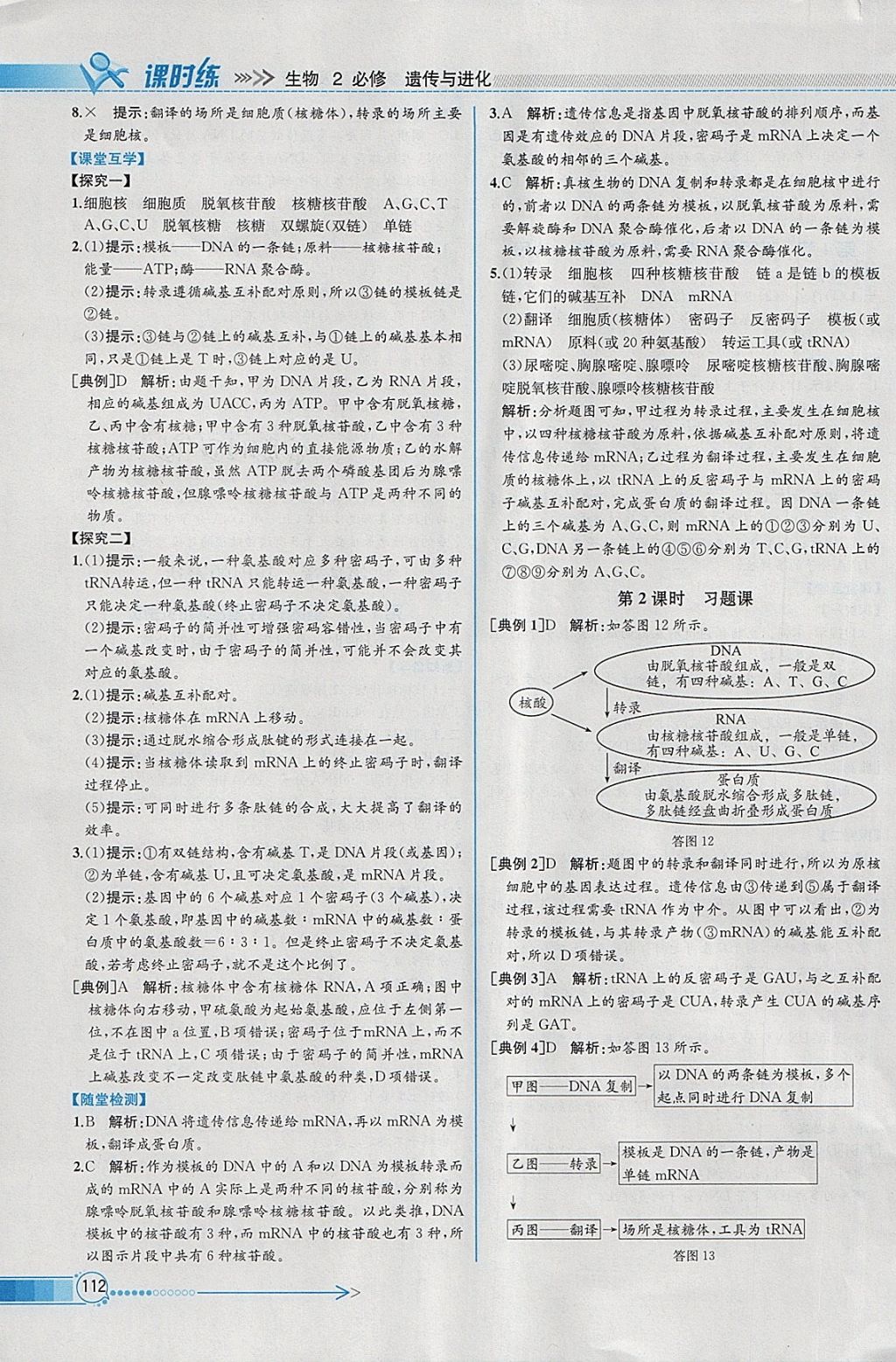 2018年同步導(dǎo)學(xué)案課時(shí)練生物必修2人教版 參考答案第15頁(yè)