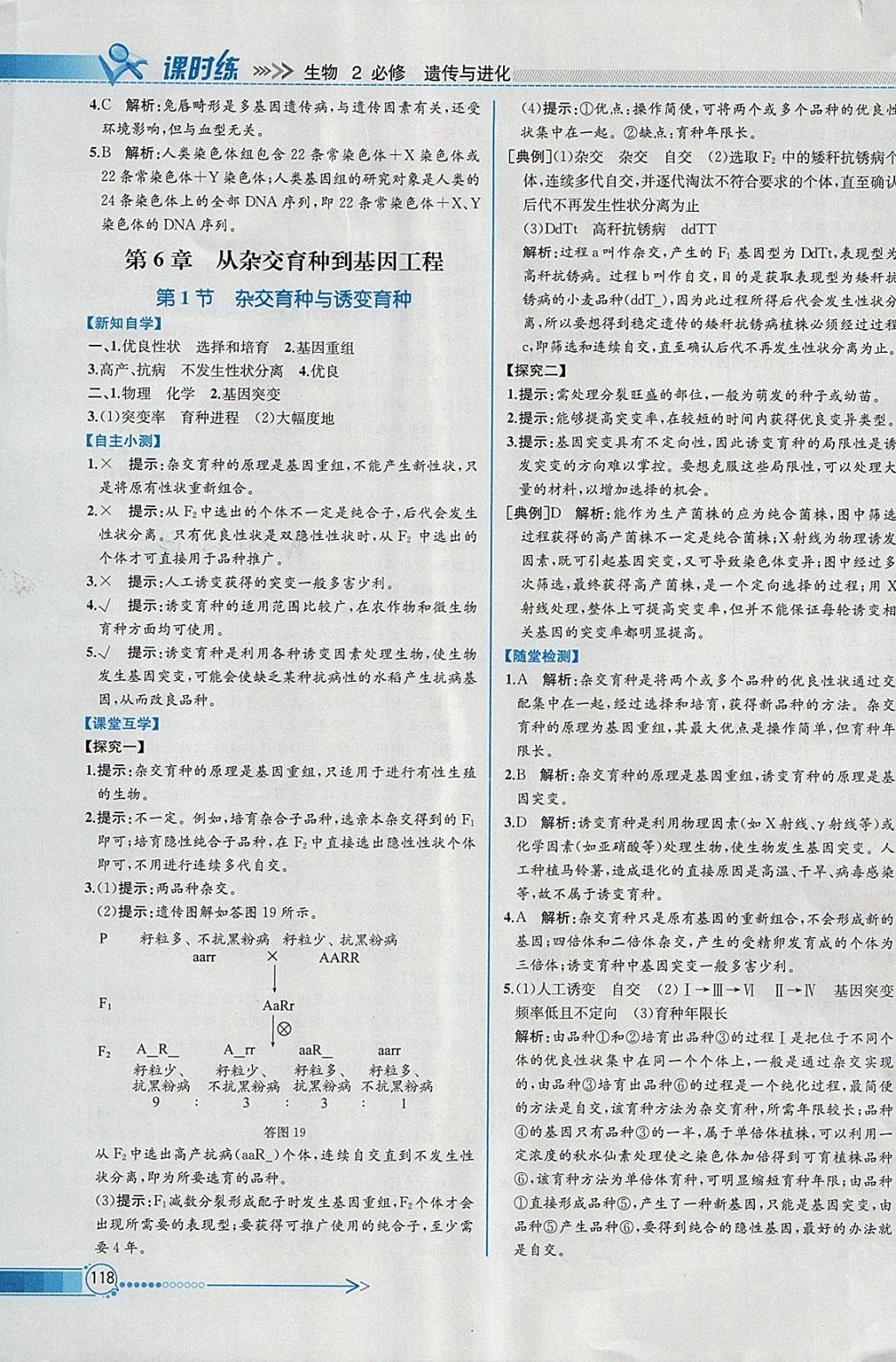 2018年同步導(dǎo)學(xué)案課時(shí)練生物必修2人教版 參考答案第21頁(yè)