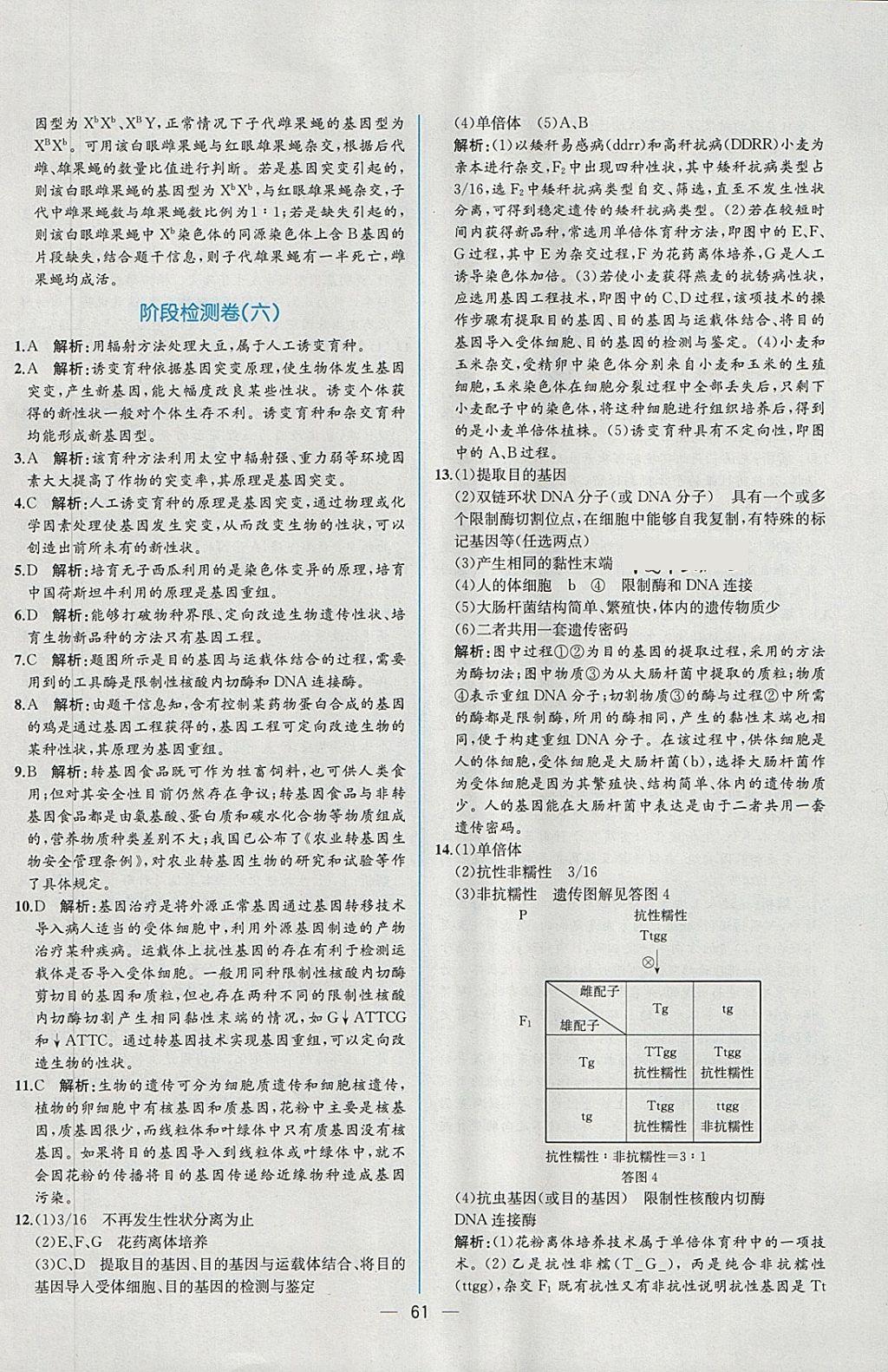 2018年同步導(dǎo)學(xué)案課時(shí)練生物必修2人教版 課時(shí)增效作業(yè)答案第19頁