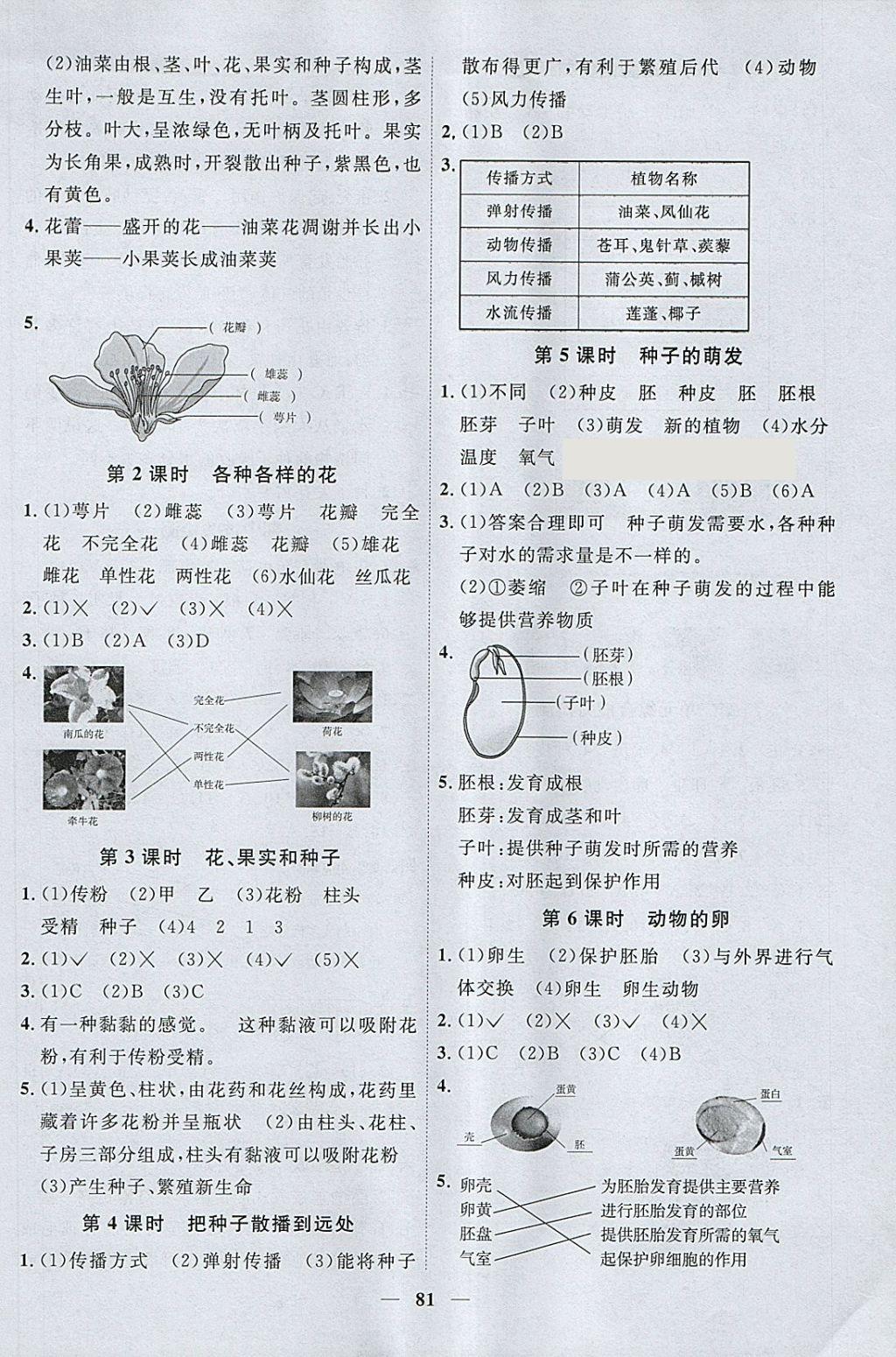 2018年阳光同学课时优化作业四年级科学下册教科版 参考答案第3页