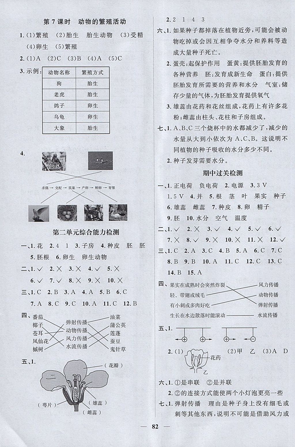 2018年阳光同学课时优化作业四年级科学下册教科版 参考答案第4页