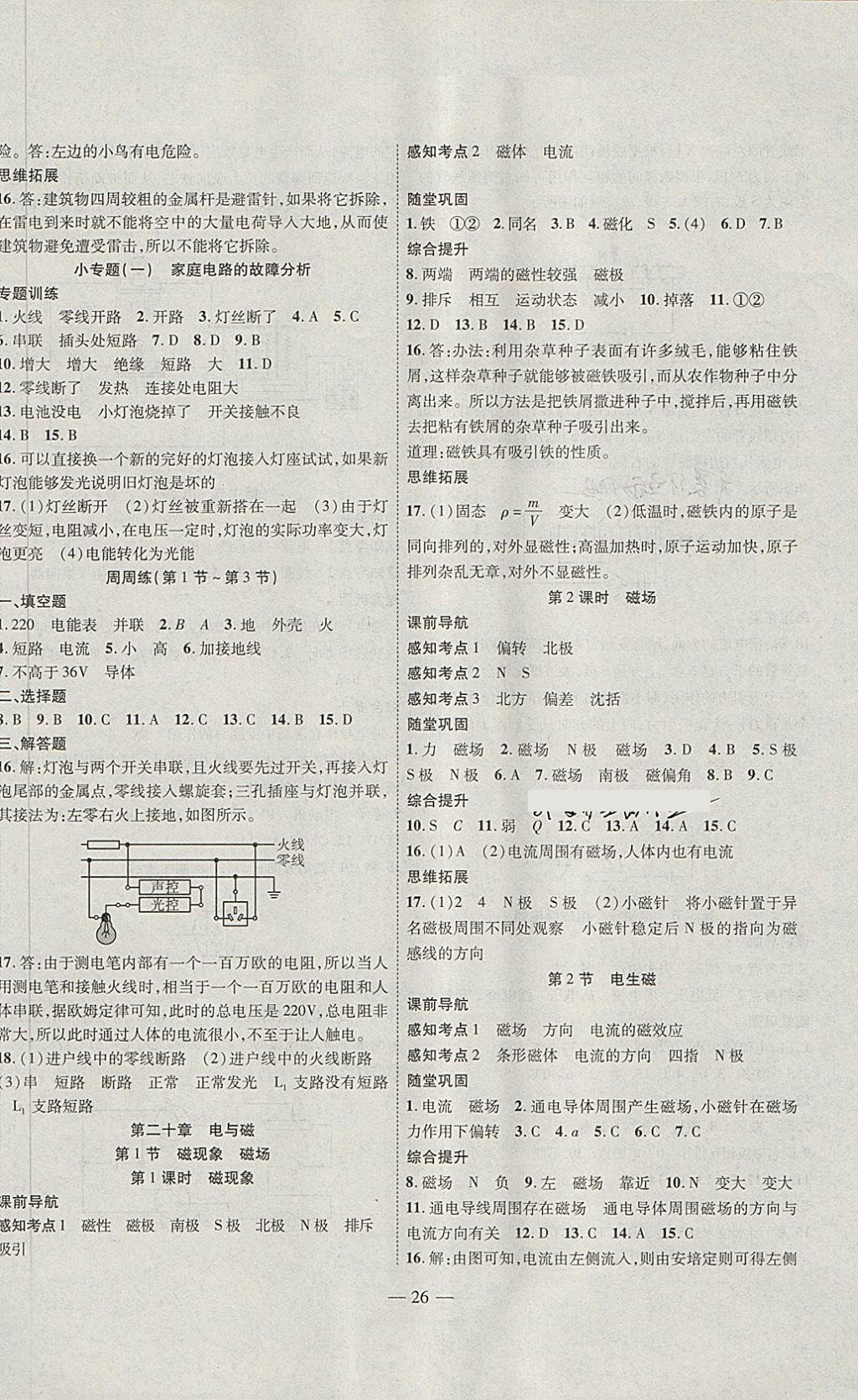 2018年新課程成長資源課時精練九年級物理下冊人教版 第2頁