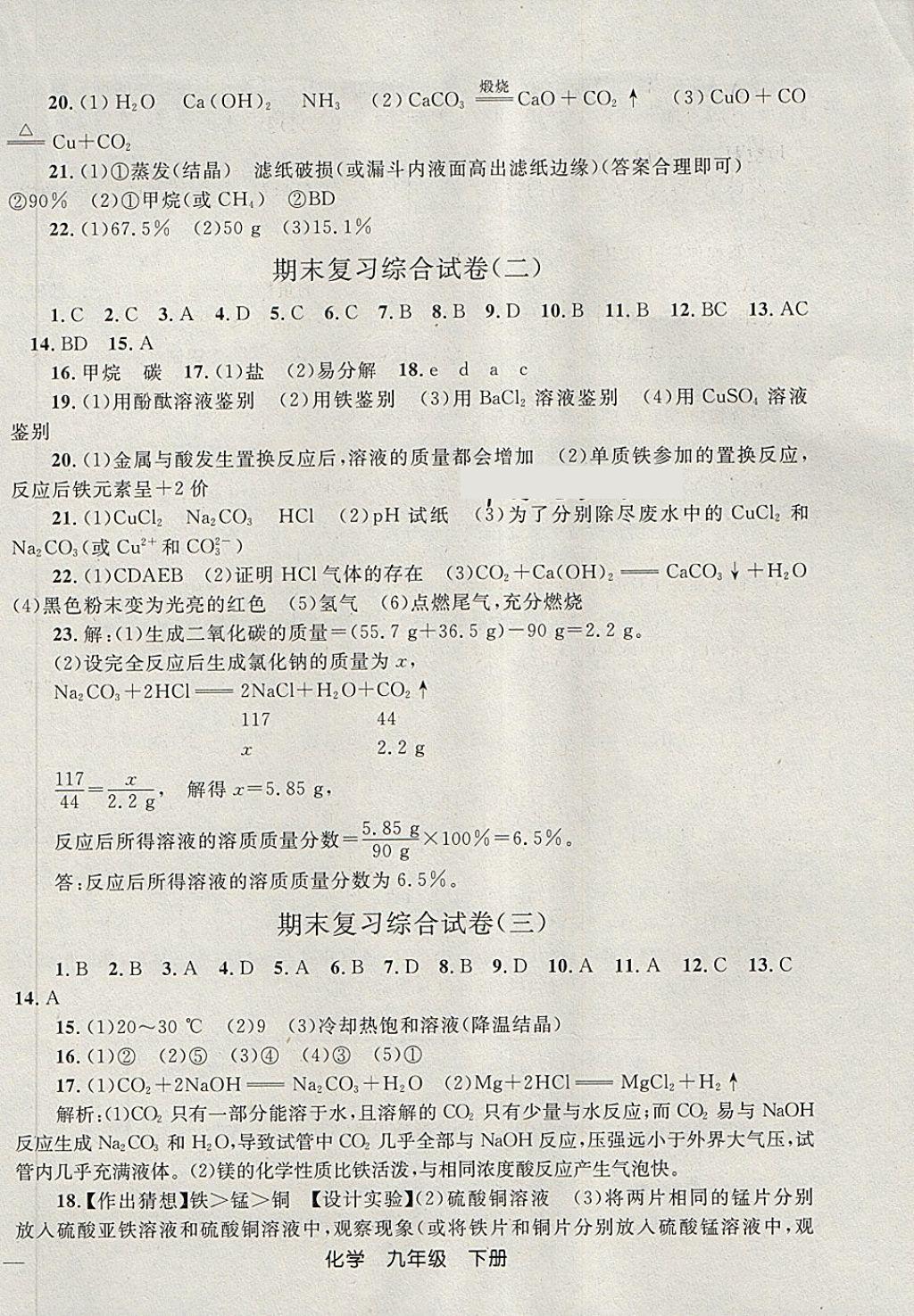 2018年同步轻松练习九年级化学下册 第21页