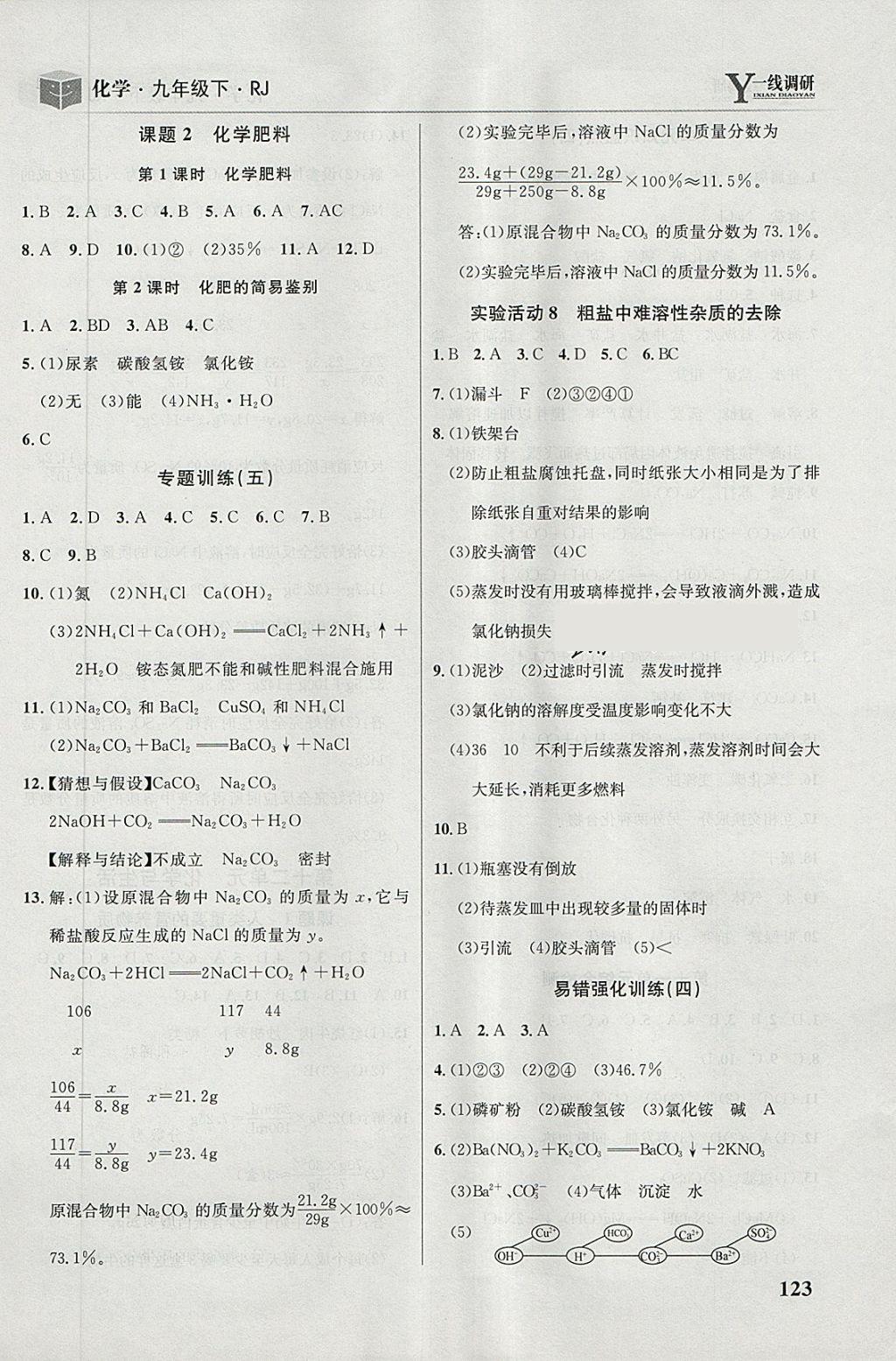 2018年一線調研學業(yè)測評九年級化學下冊人教版 第13頁