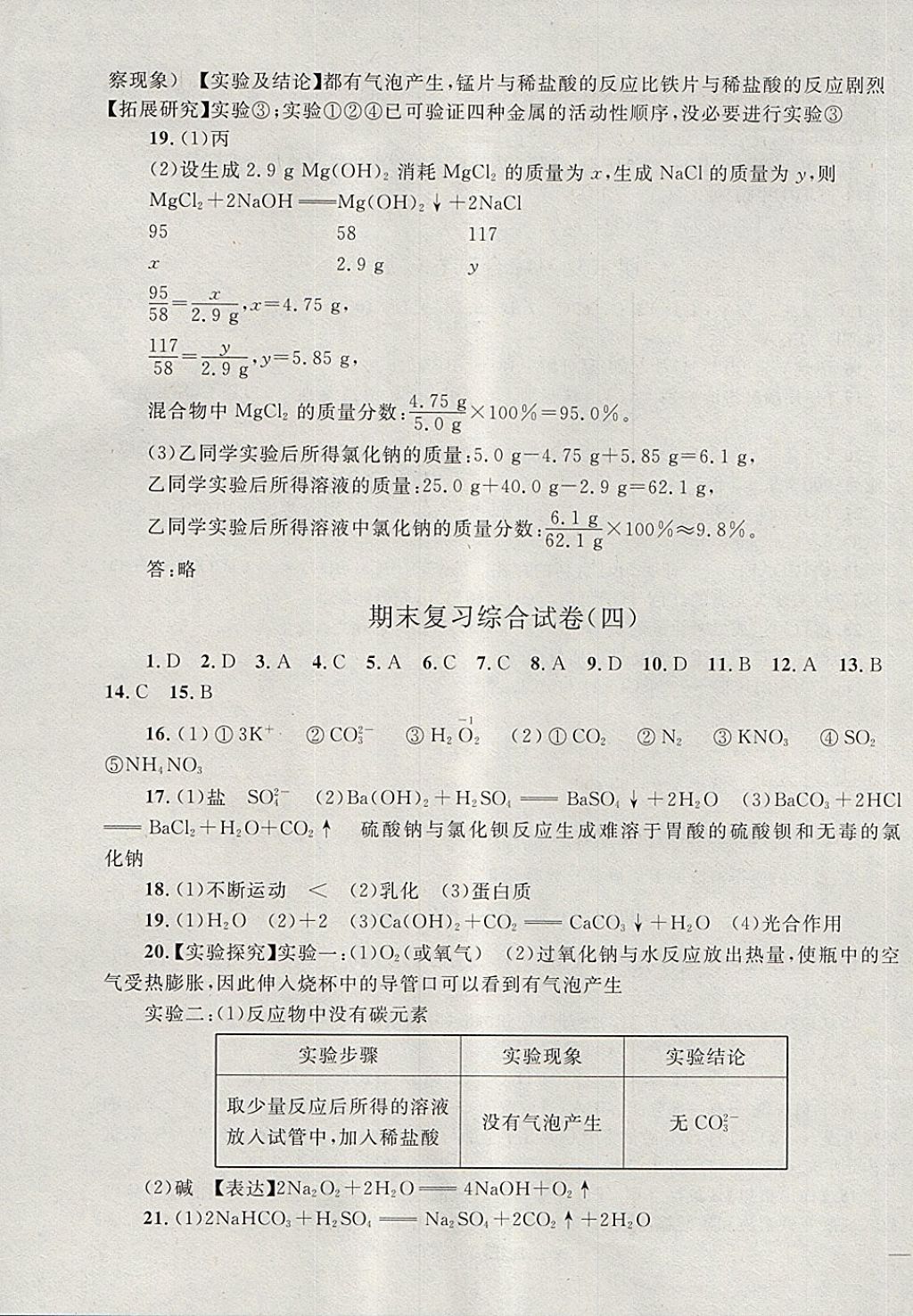 2018年同步轻松练习九年级化学下册 第22页