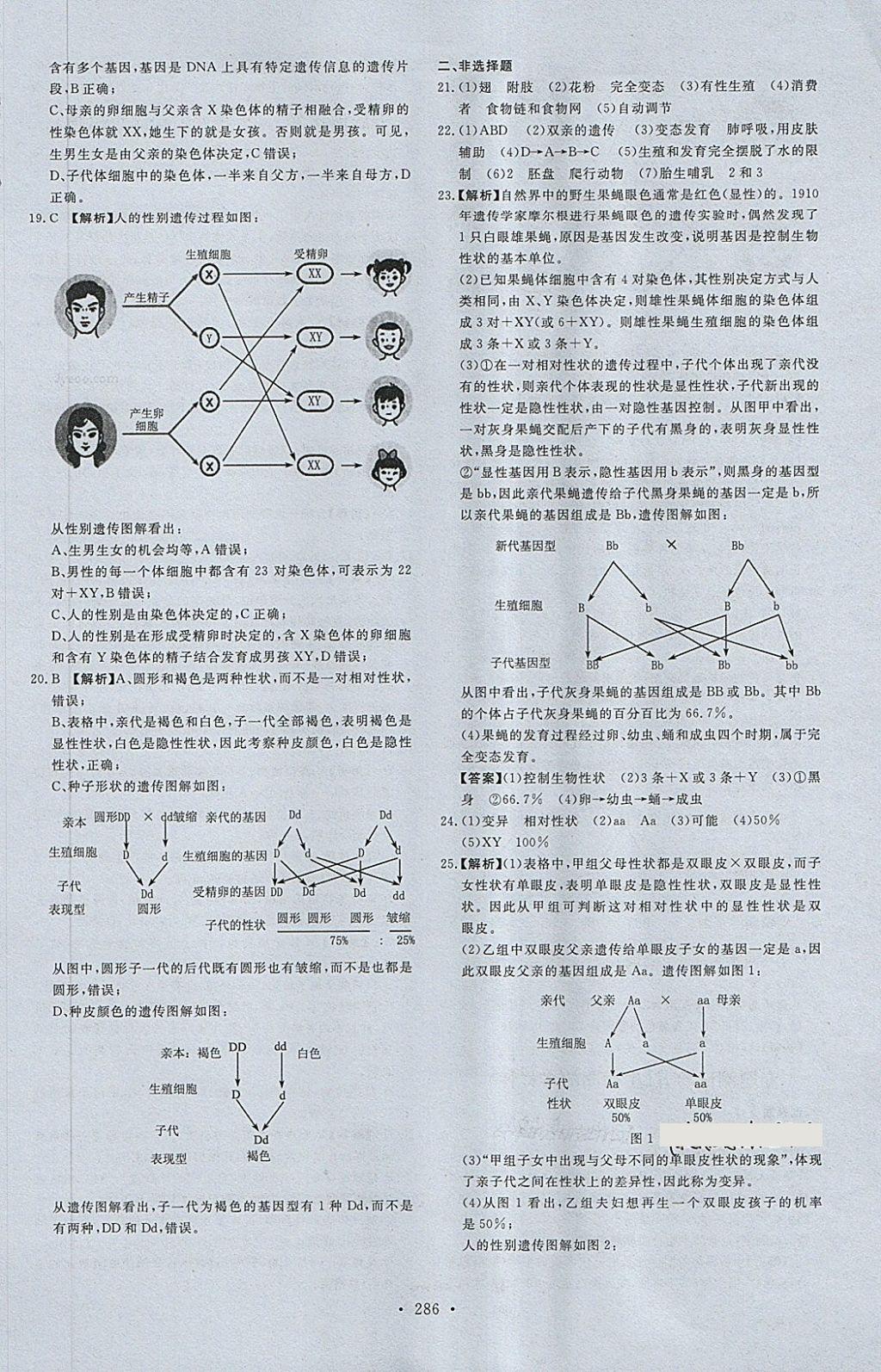 2018年天梯中考全程總復(fù)習(xí)生物五四專版 第78頁