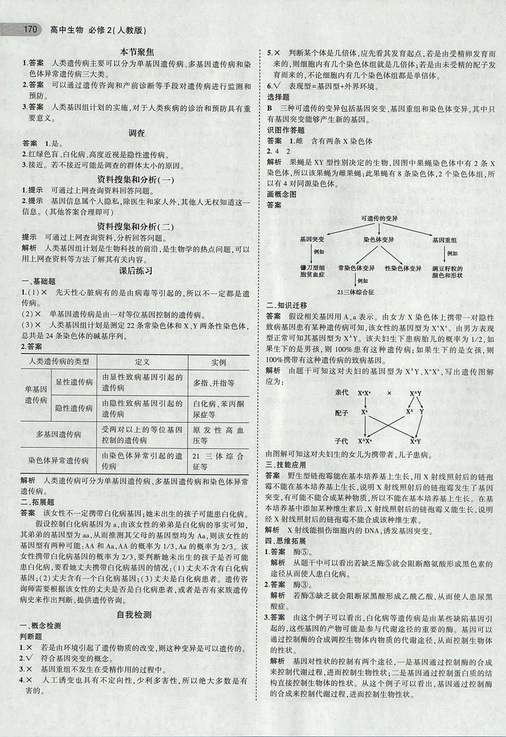 2018年課本人教版高中生物必修2 第12頁