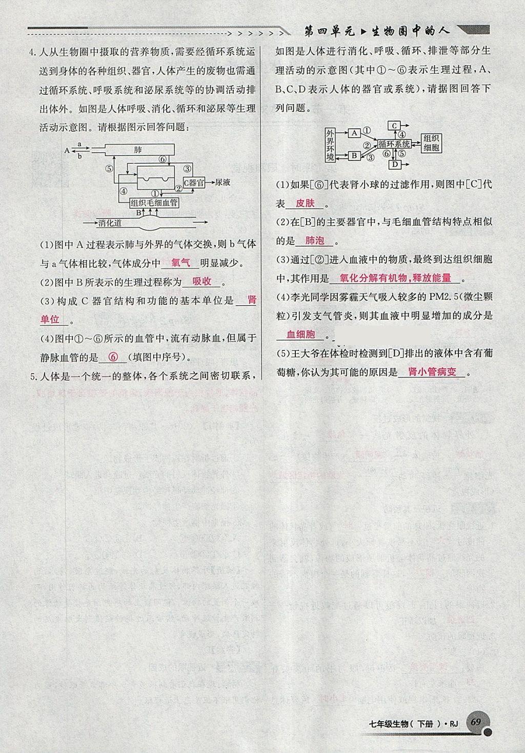 2018年導(dǎo)學(xué)與演練七年級生物下冊人教版貴陽專版 第93頁