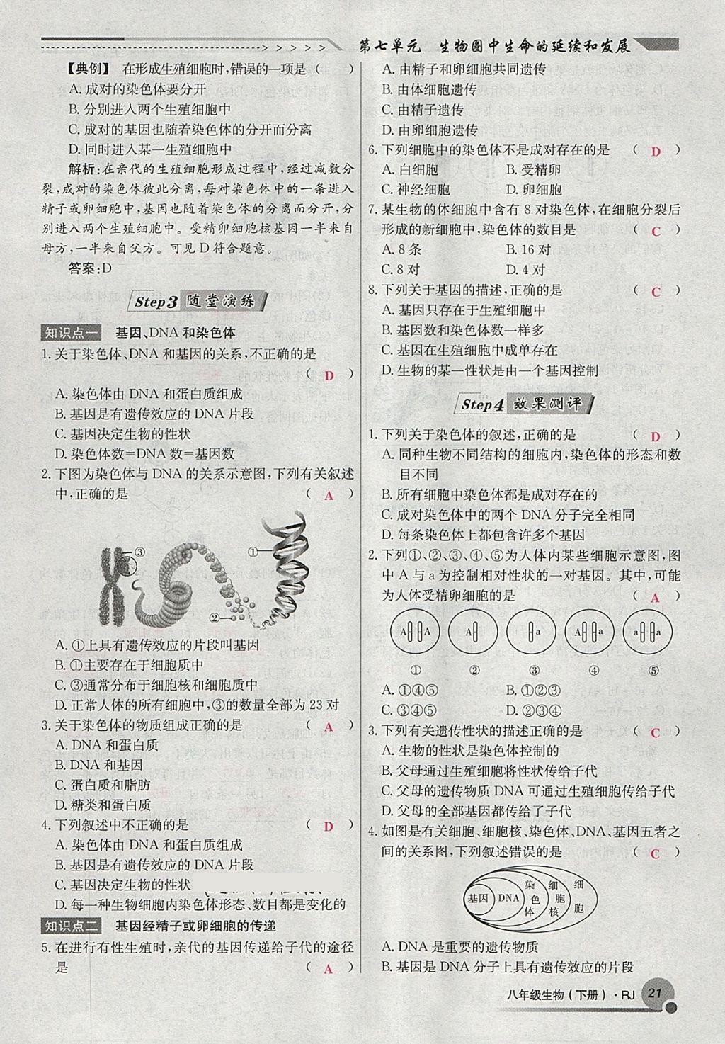 2018年導(dǎo)學(xué)與演練八年級生物下冊人教版貴陽專版 第45頁