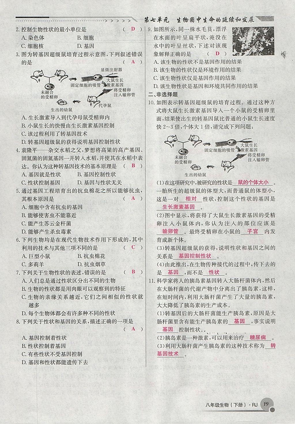 2018年導(dǎo)學(xué)與演練八年級(jí)生物下冊(cè)人教版貴陽專版 第43頁