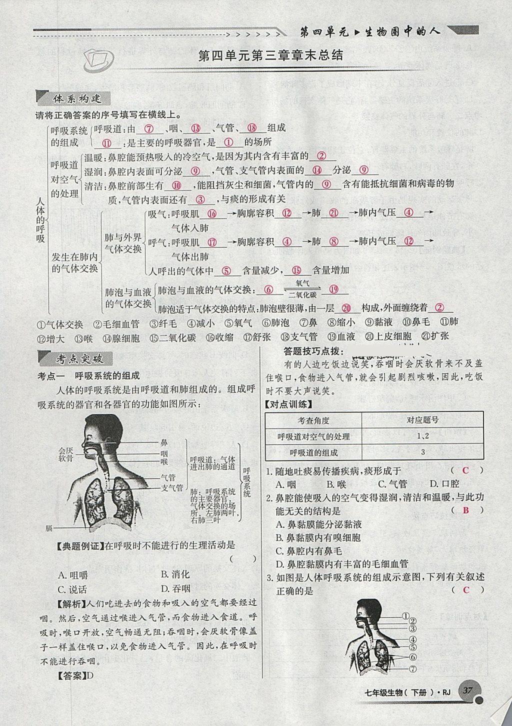 2018年導(dǎo)學(xué)與演練七年級生物下冊人教版貴陽專版 第65頁