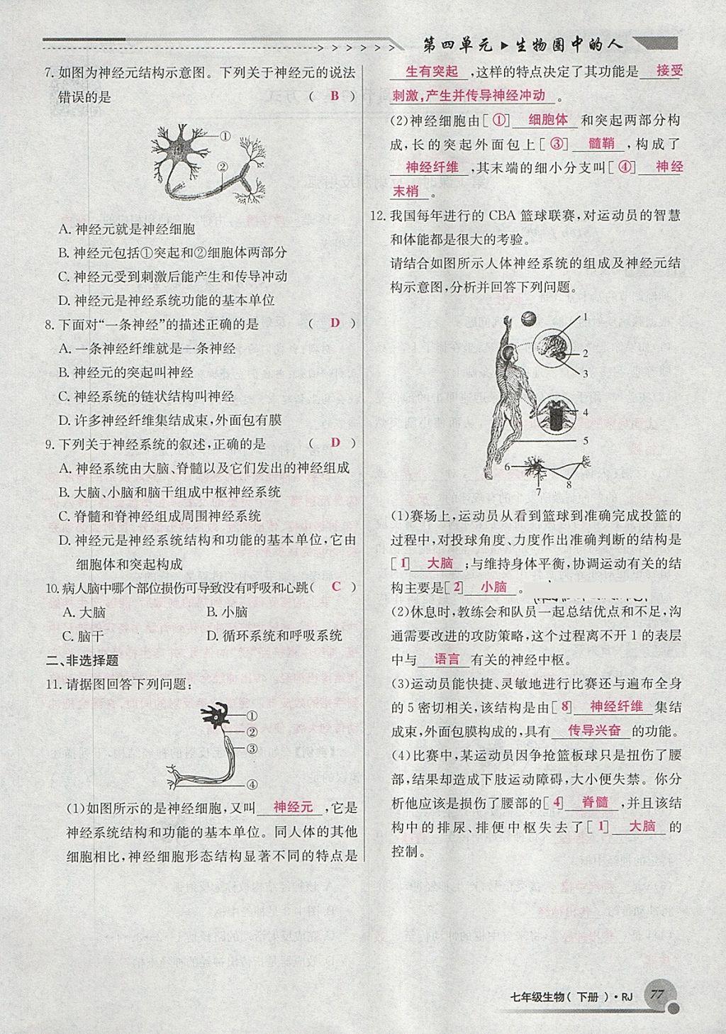 2018年導(dǎo)學(xué)與演練七年級(jí)生物下冊(cè)人教版貴陽(yáng)專(zhuān)版 第101頁(yè)