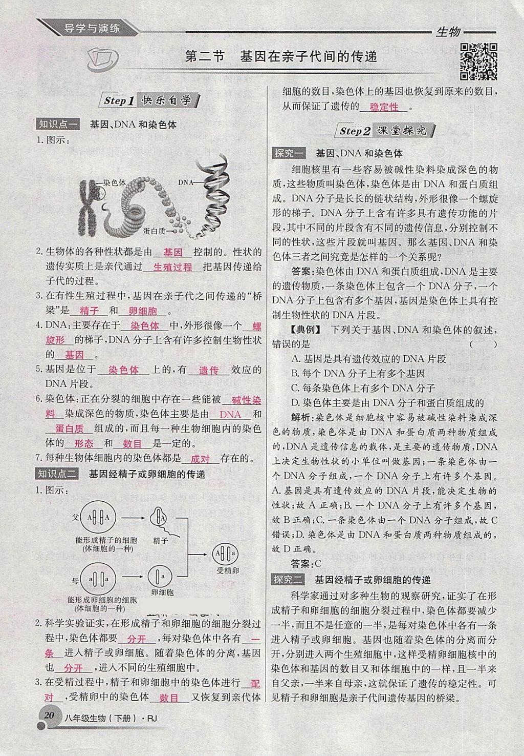 2018年導(dǎo)學(xué)與演練八年級生物下冊人教版貴陽專版 第44頁