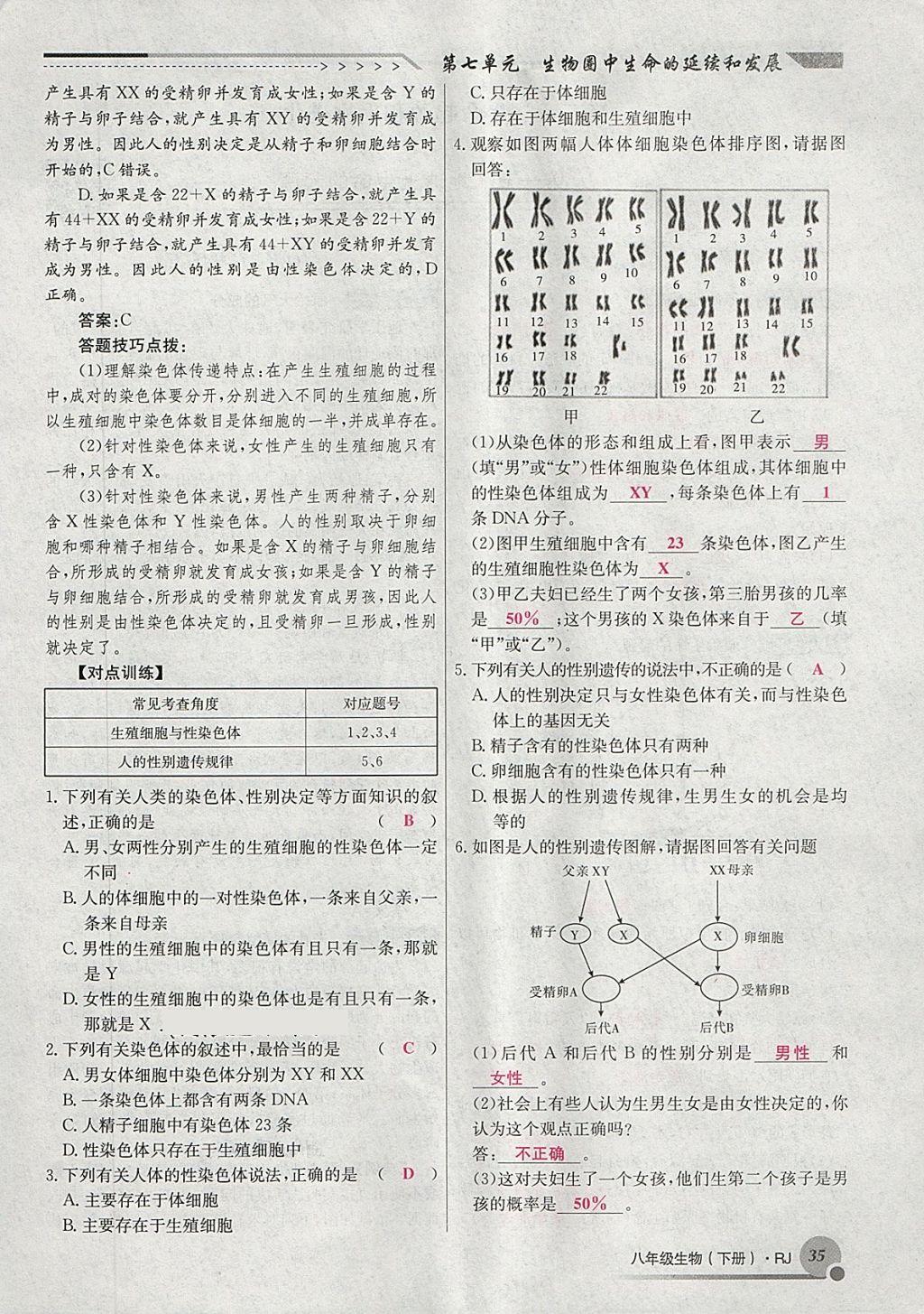 2018年導(dǎo)學(xué)與演練八年級(jí)生物下冊(cè)人教版貴陽專版 第59頁