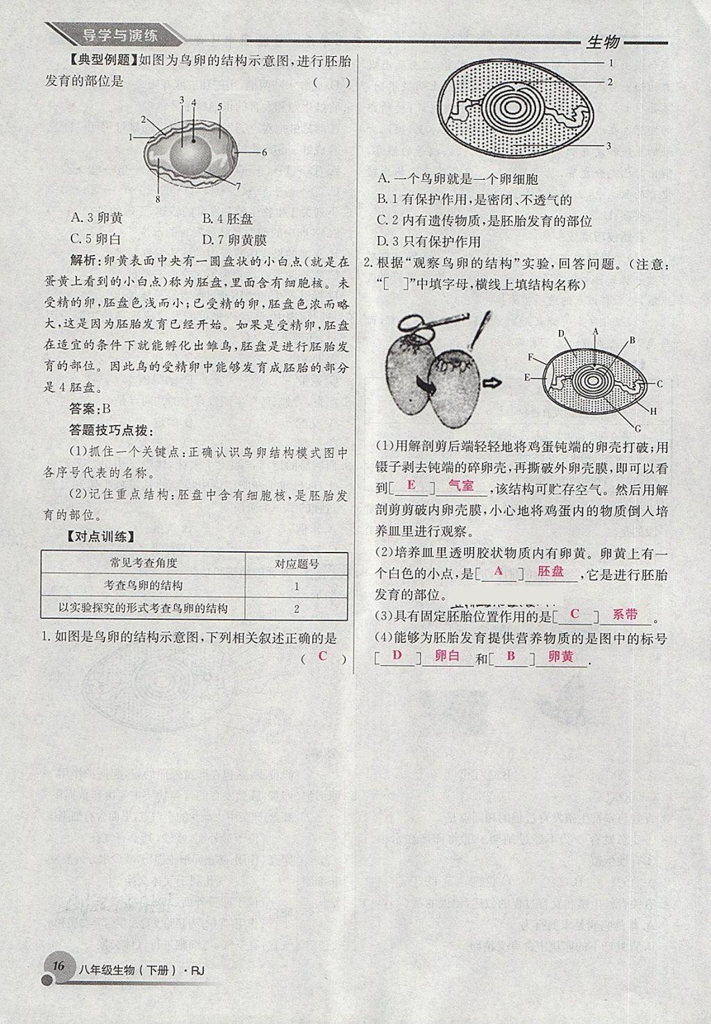 2018年導學與演練八年級生物下冊人教版貴陽專版 第40頁