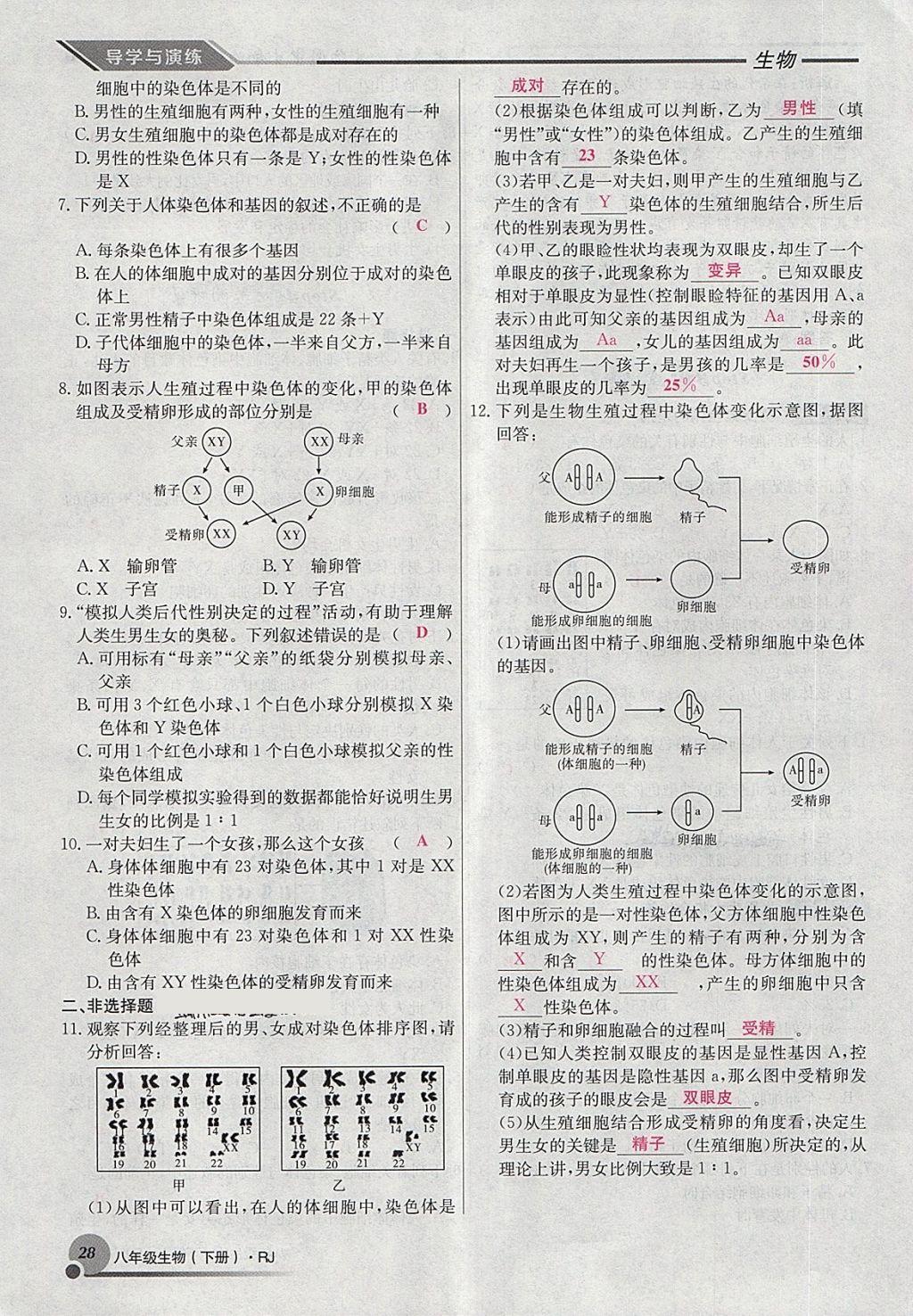 2018年導(dǎo)學(xué)與演練八年級生物下冊人教版貴陽專版 第52頁