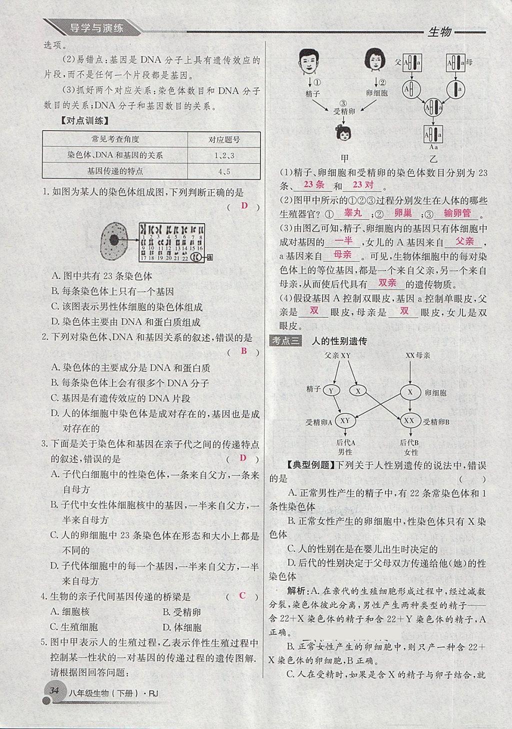 2018年導學與演練八年級生物下冊人教版貴陽專版 第58頁