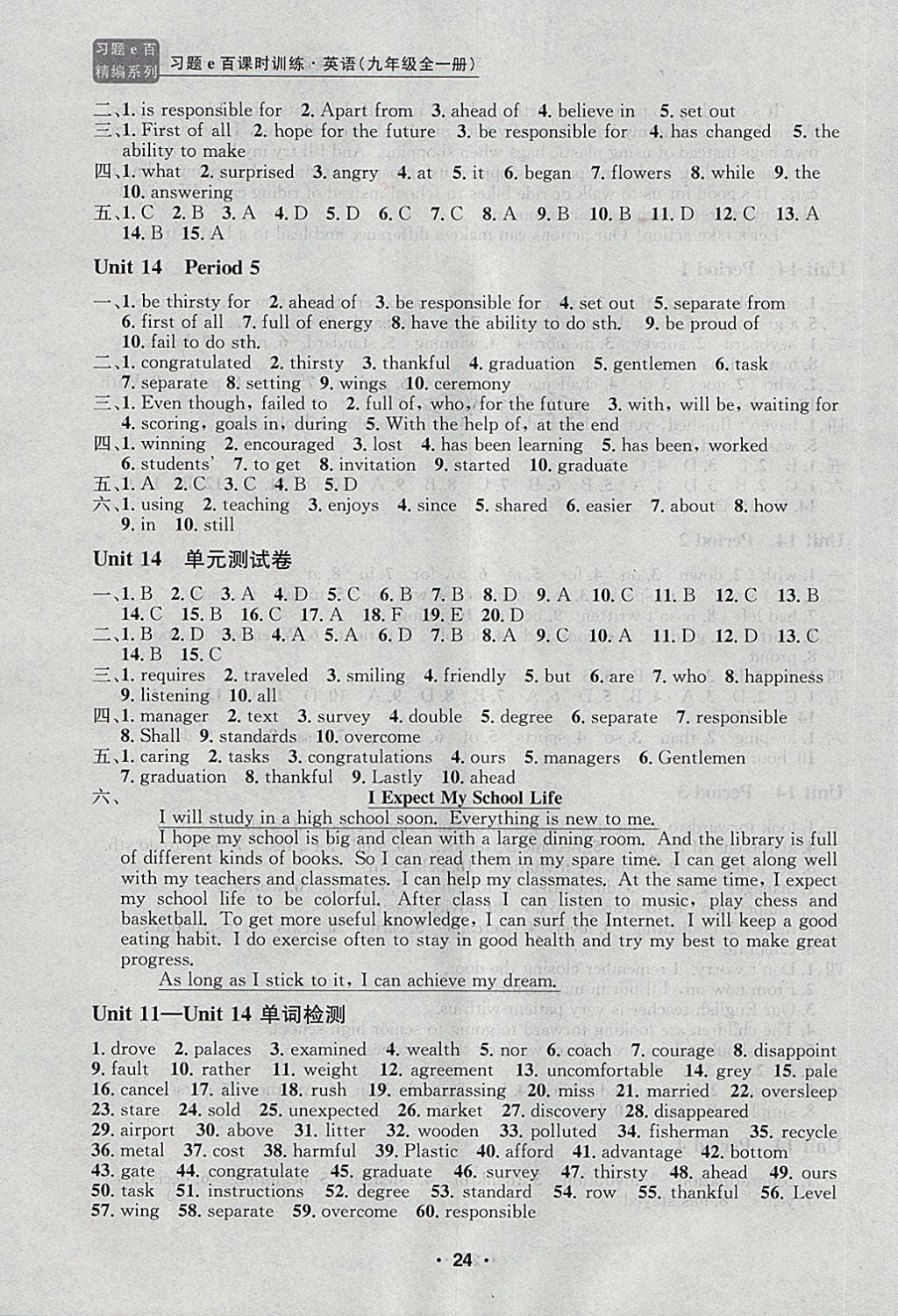 2017年習(xí)題E百課時(shí)訓(xùn)練九年級(jí)英語(yǔ)全一冊(cè)人教版 第24頁(yè)