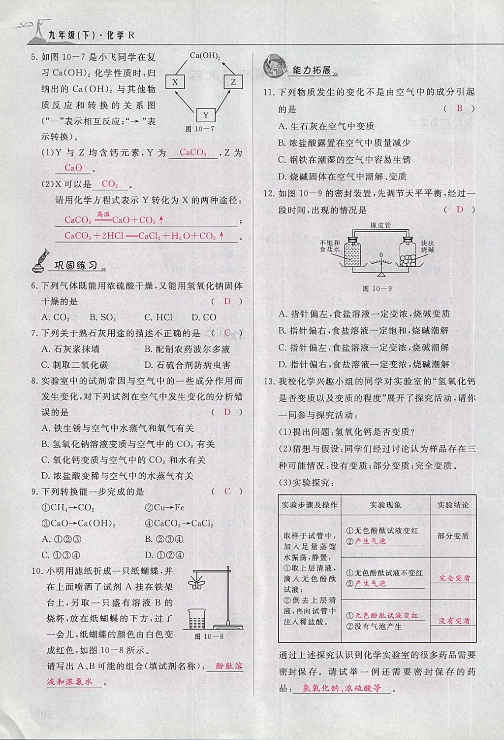 2018年五州圖書超越訓(xùn)練九年級化學(xué)下冊人教版 第185頁