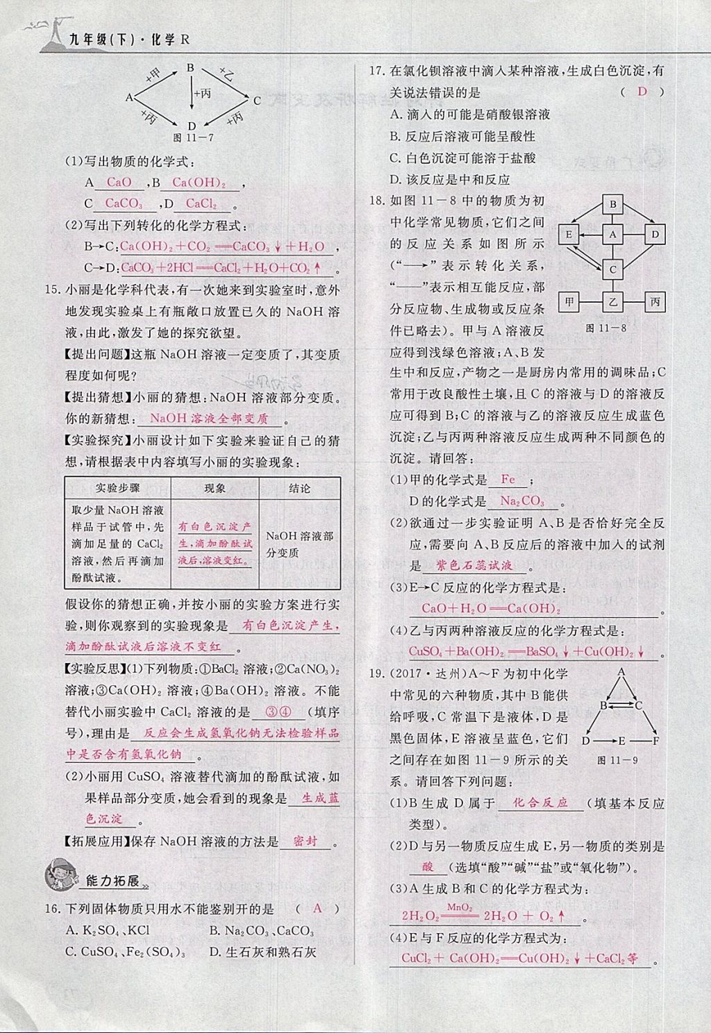 2018年五州圖書超越訓(xùn)練九年級化學(xué)下冊人教版 第133頁