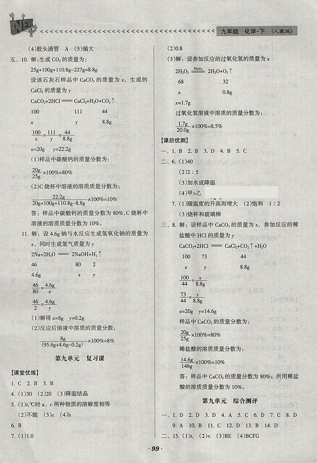 2018年全优点练课计划九年级化学下册人教版 第5页