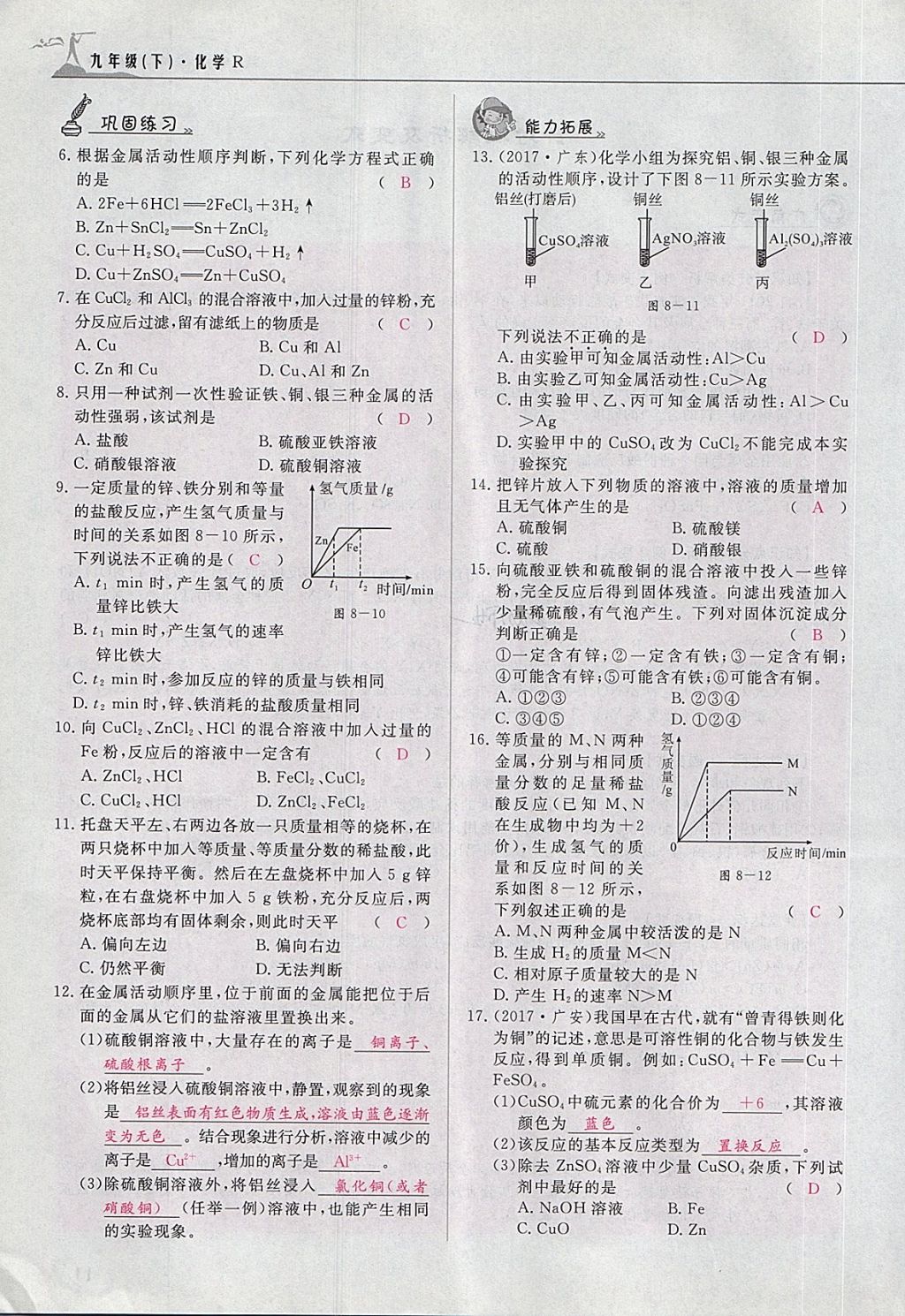 2018年五州圖書超越訓(xùn)練九年級化學(xué)下冊人教版 第95頁