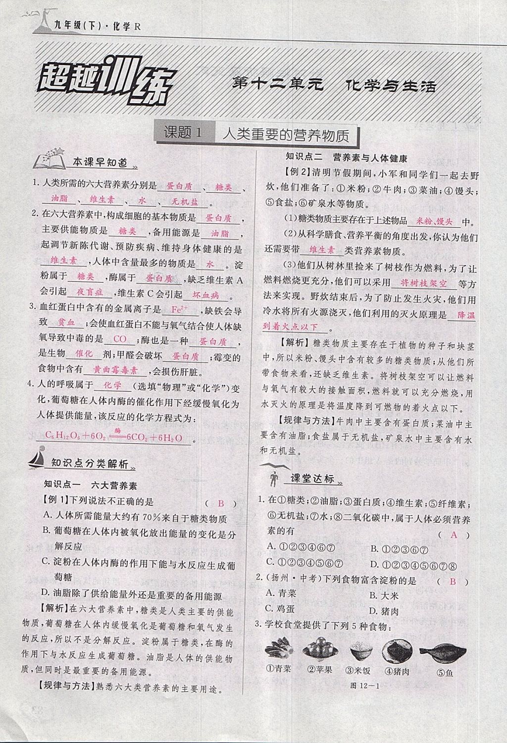 2018年五州圖書超越訓(xùn)練九年級(jí)化學(xué)下冊(cè)人教版 第157頁(yè)