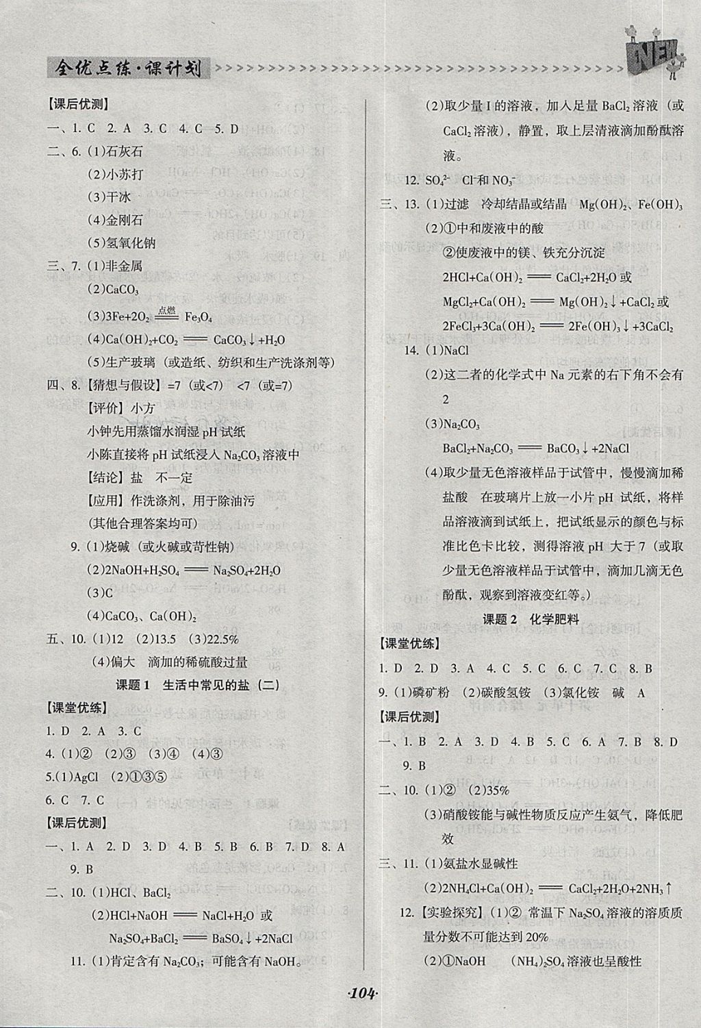 2018年全优点练课计划九年级化学下册人教版 第10页