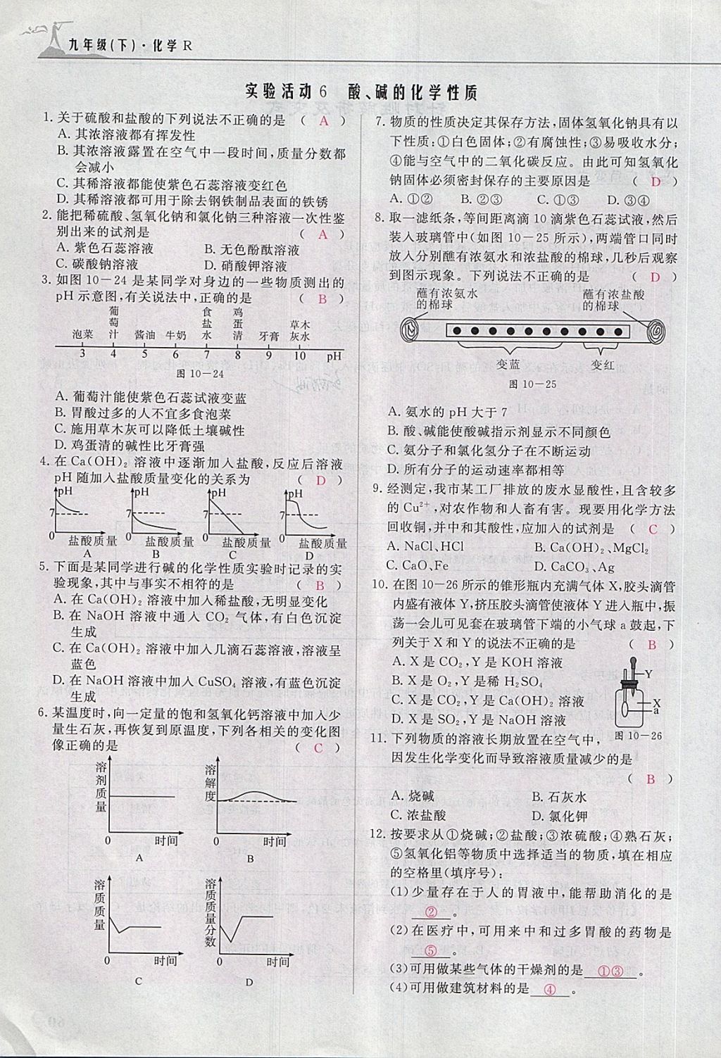 2018年五州圖書超越訓(xùn)練九年級化學(xué)下冊人教版 第205頁