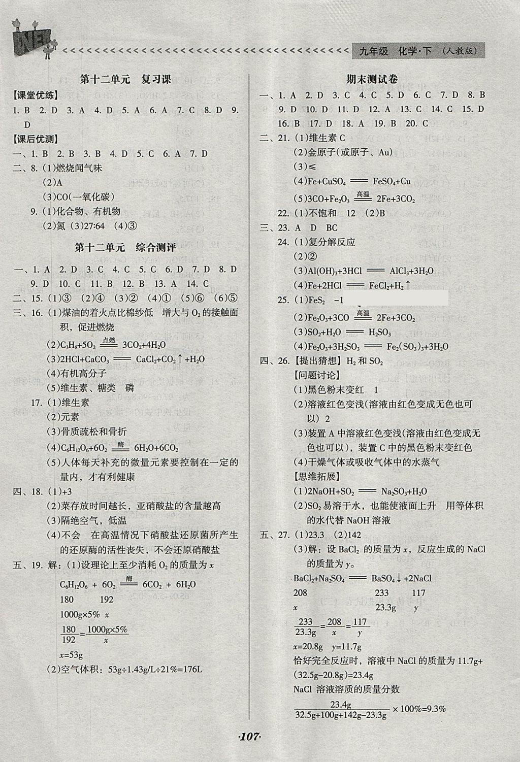 2018年全优点练课计划九年级化学下册人教版 第13页