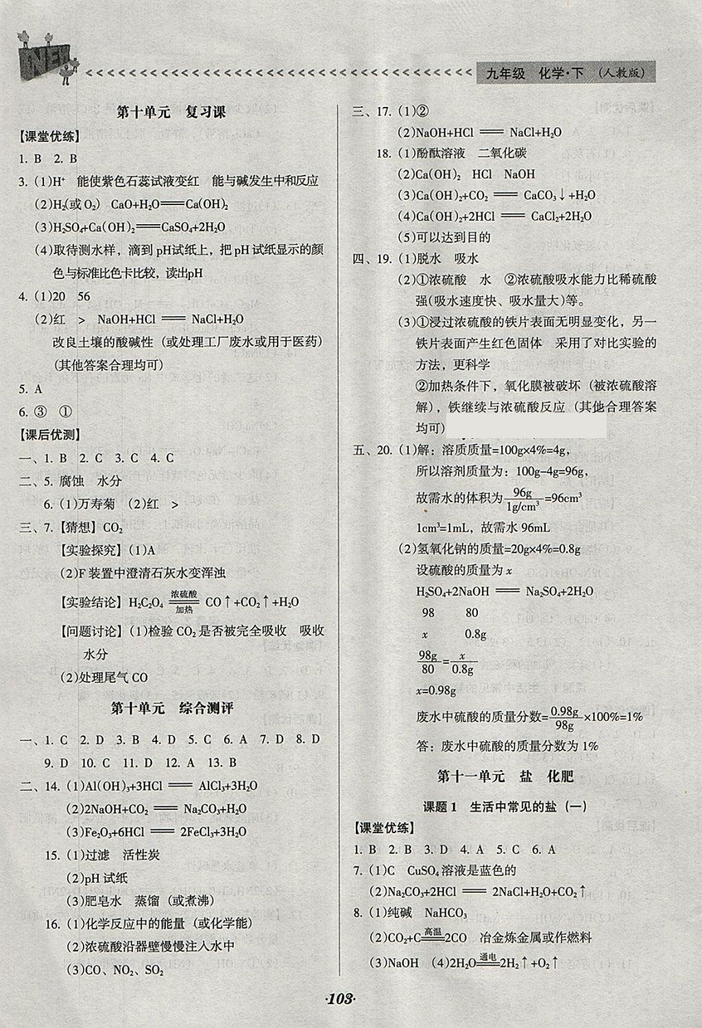 2018年全优点练课计划九年级化学下册人教版 第9页