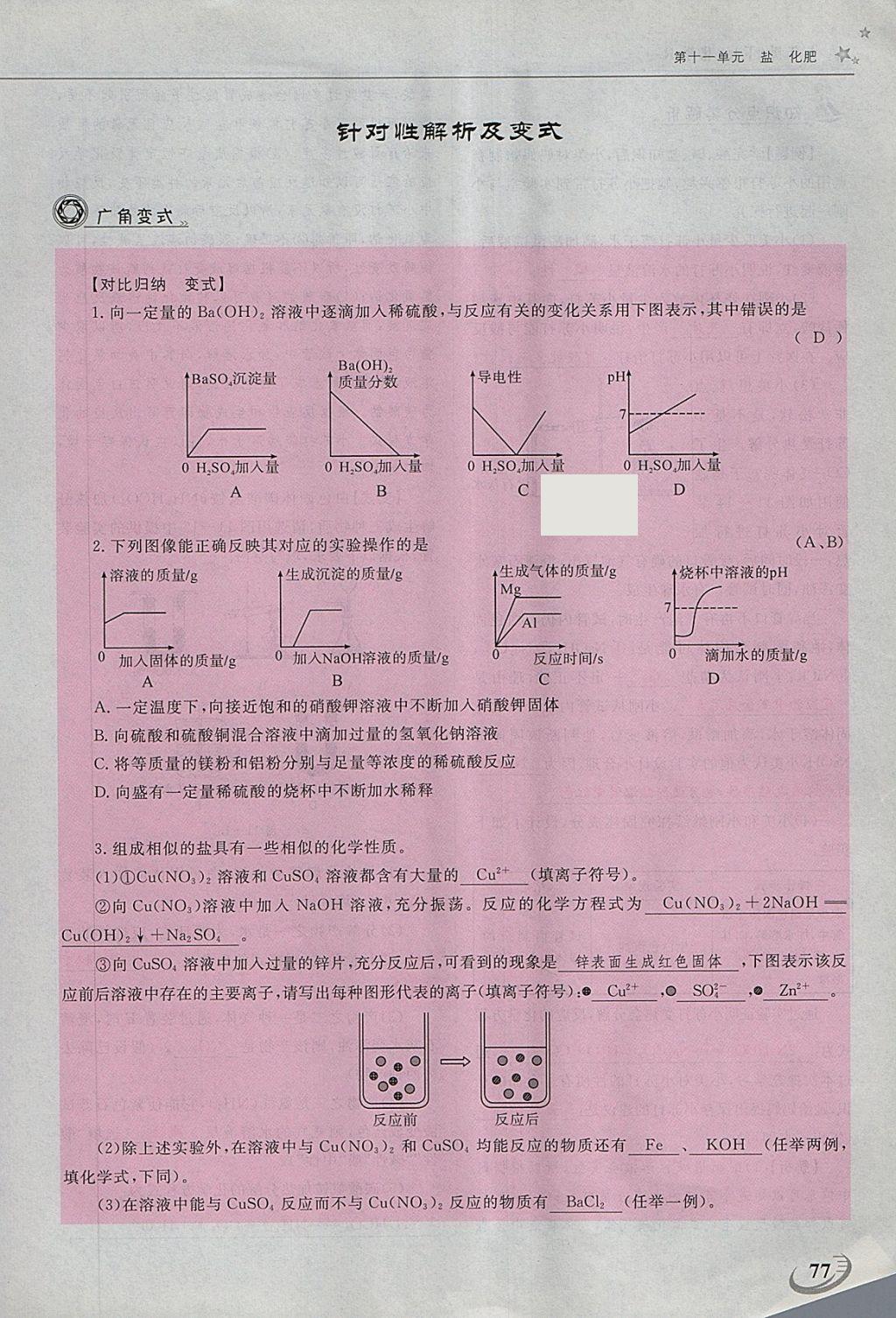 2018年五州圖書超越訓(xùn)練九年級化學(xué)下冊人教版 第144頁