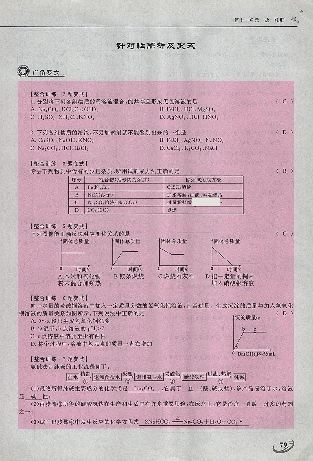 2018年五州圖書超越訓(xùn)練九年級化學(xué)下冊人教版 第148頁