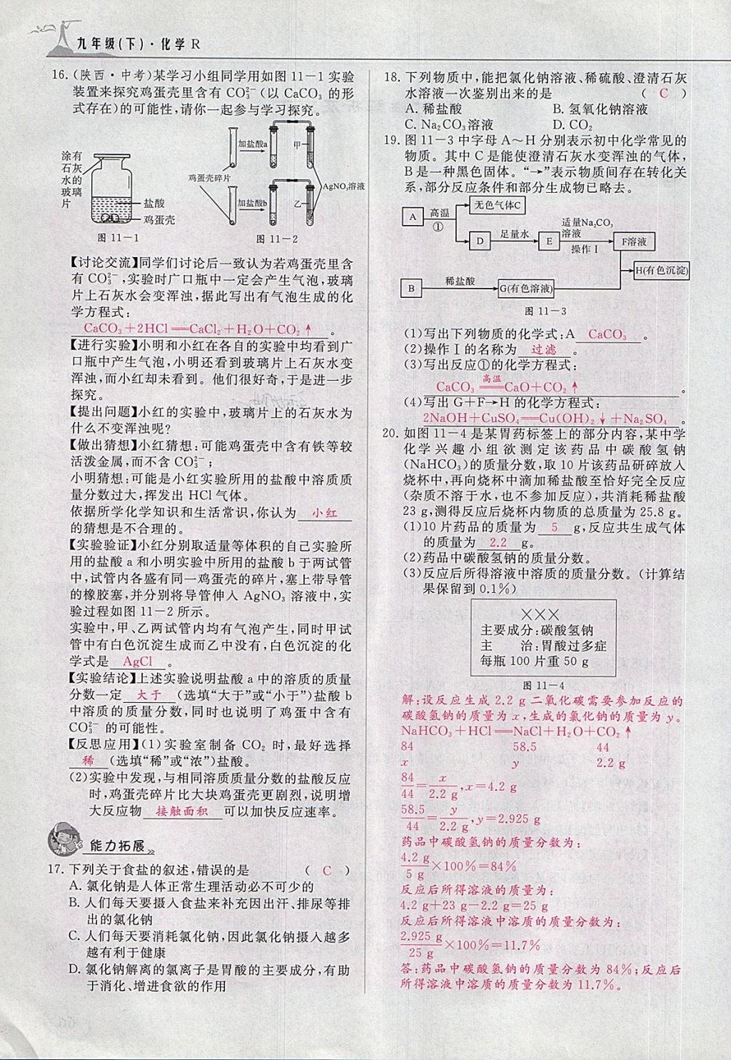 2018年五州圖書超越訓(xùn)練九年級化學(xué)下冊人教版 第123頁